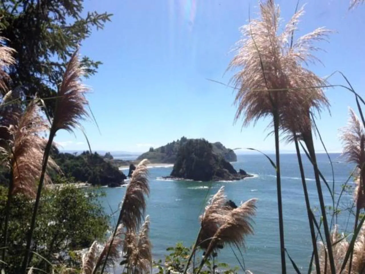 Off site in Lookout At Trinidad Bay