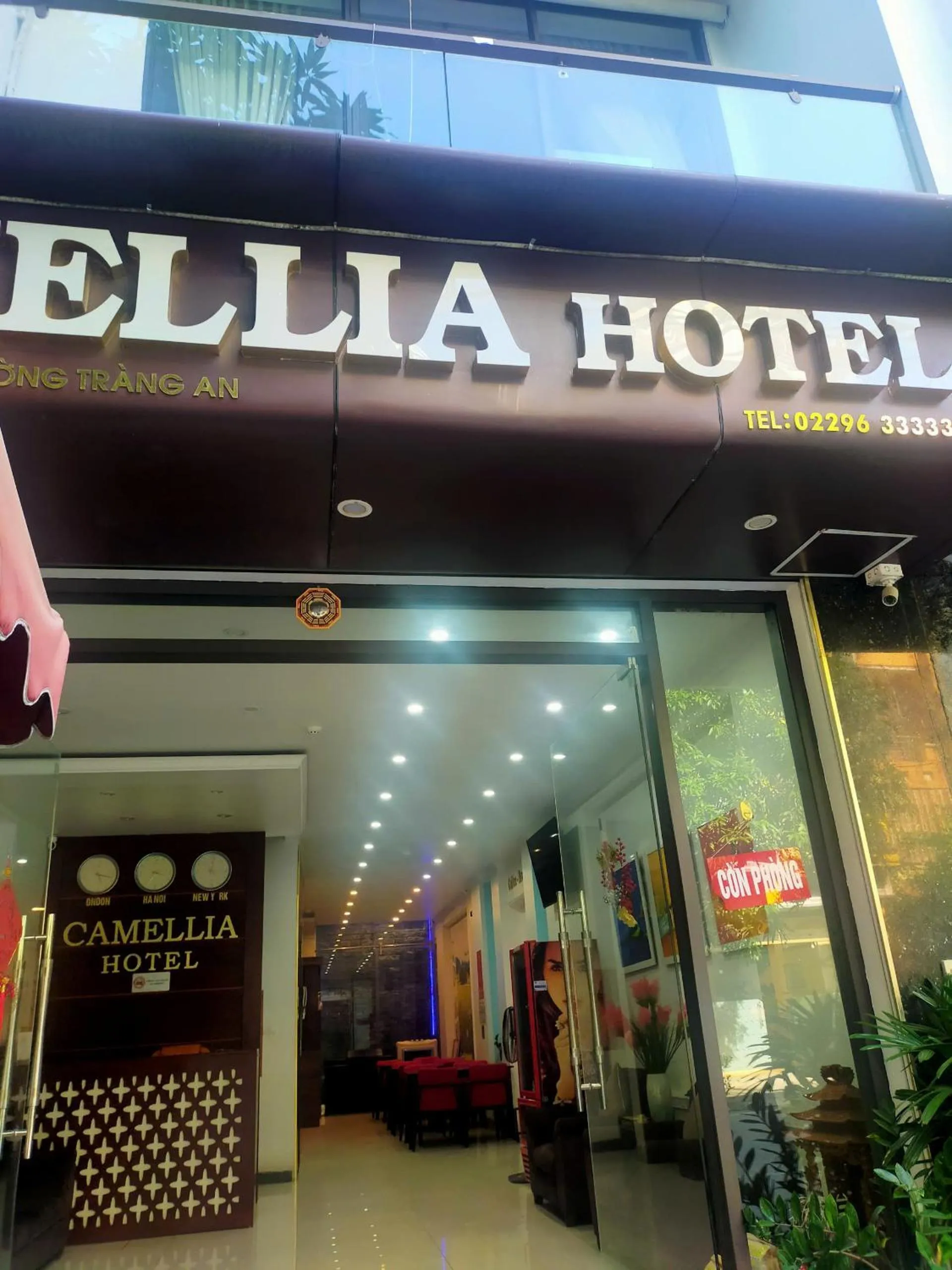 Communal lounge/ TV room in Camellia Hotel