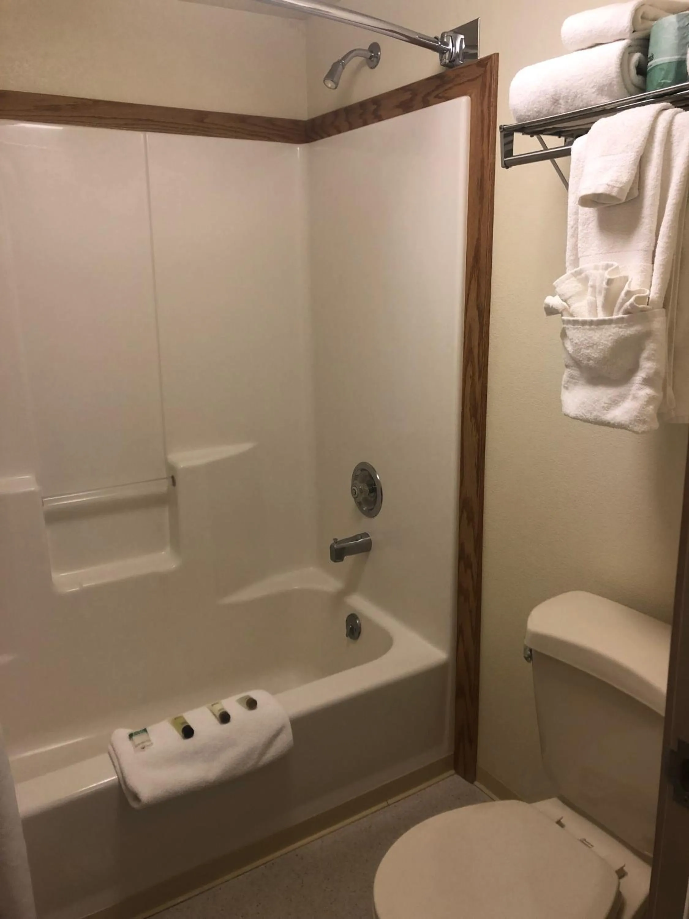 Bathroom in Aurora Denali Lodge