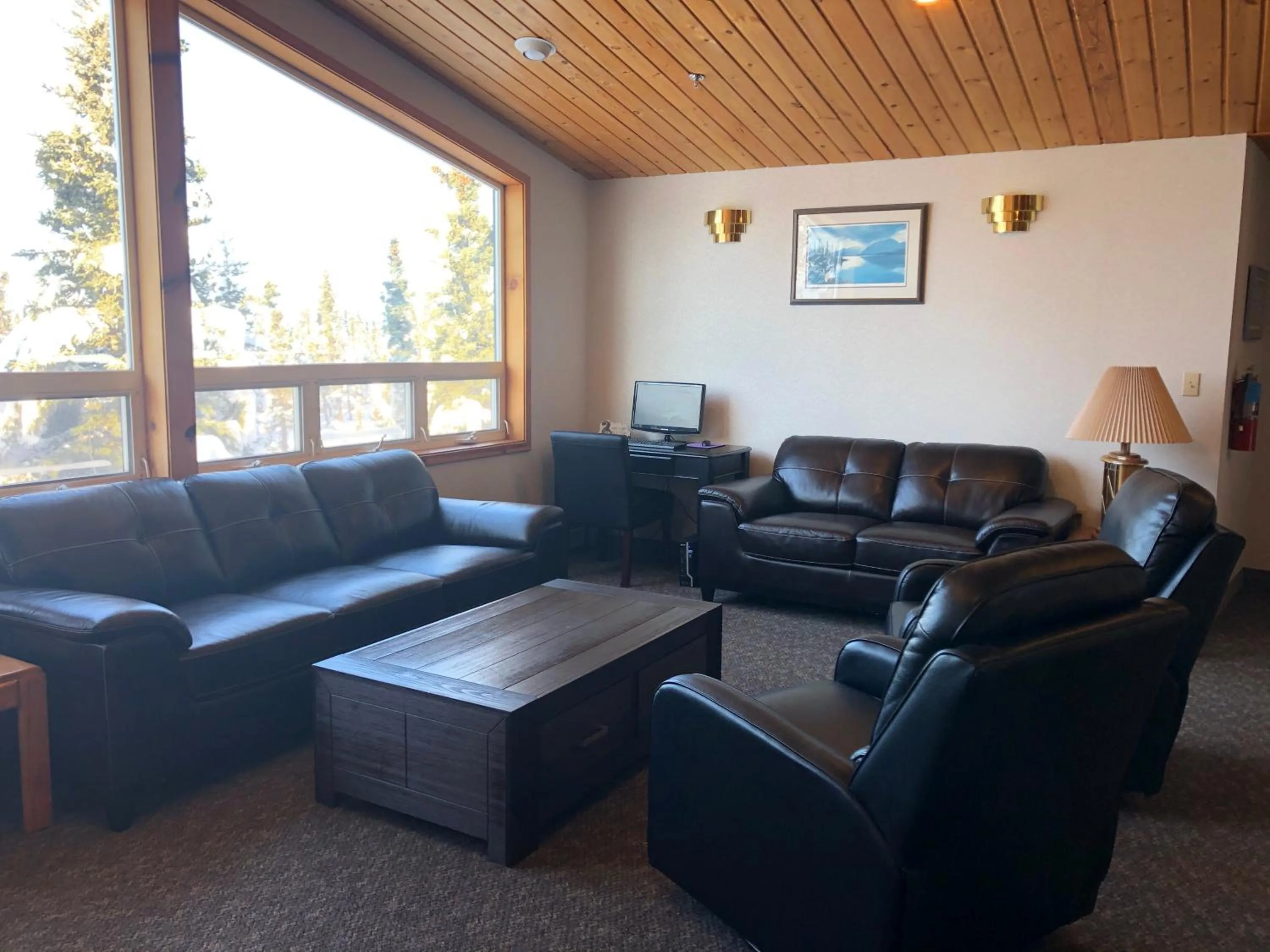 Communal lounge/ TV room in Aurora Denali Lodge