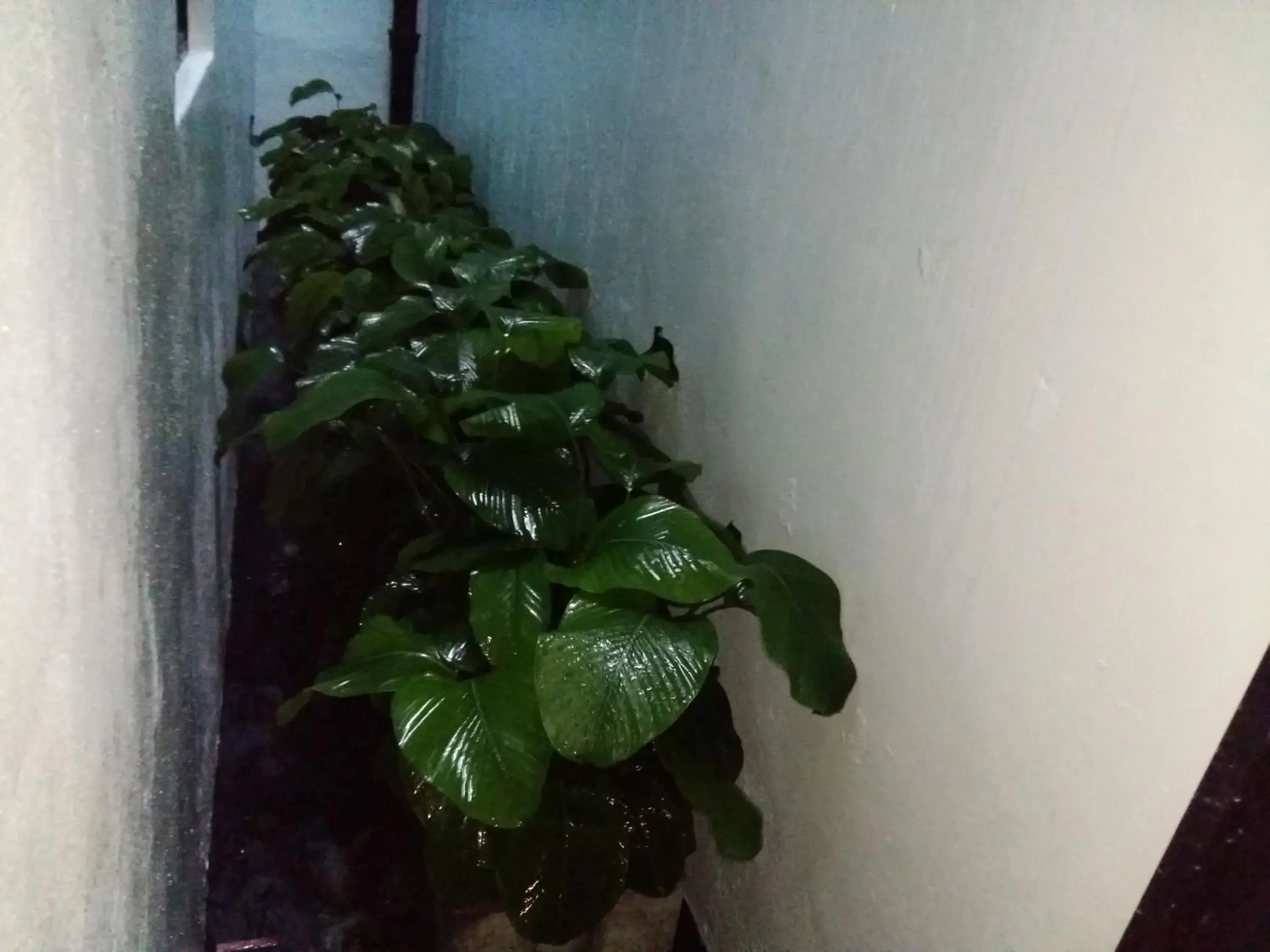 Area and facilities in Brick Box Hotel @ Oldtown Ipoh Area and facilities in Brick Box Hotel @ Oldtown Ipoh