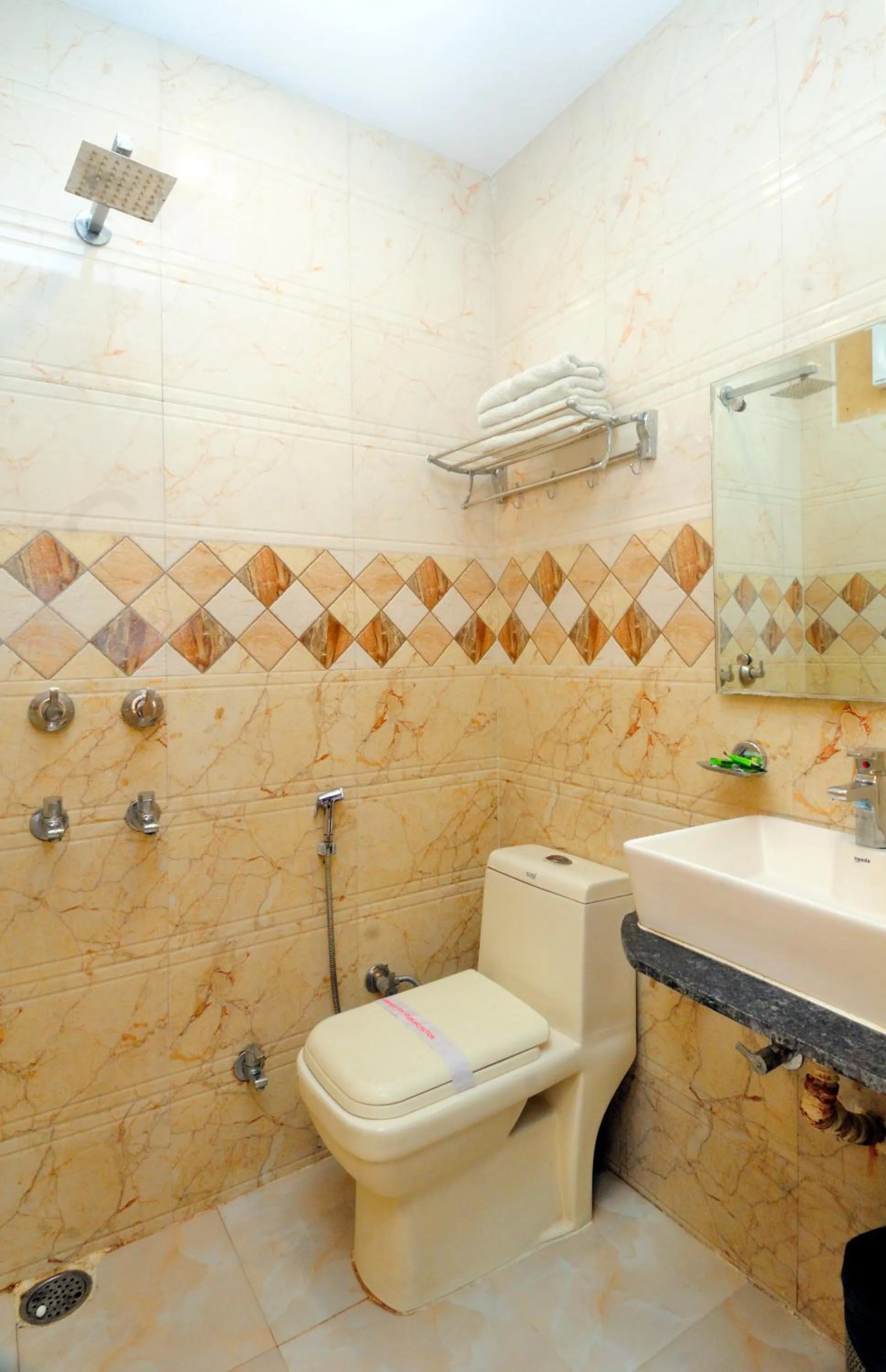 Shower in Hotel Karlo Kastle - Paharganj - New Delhi