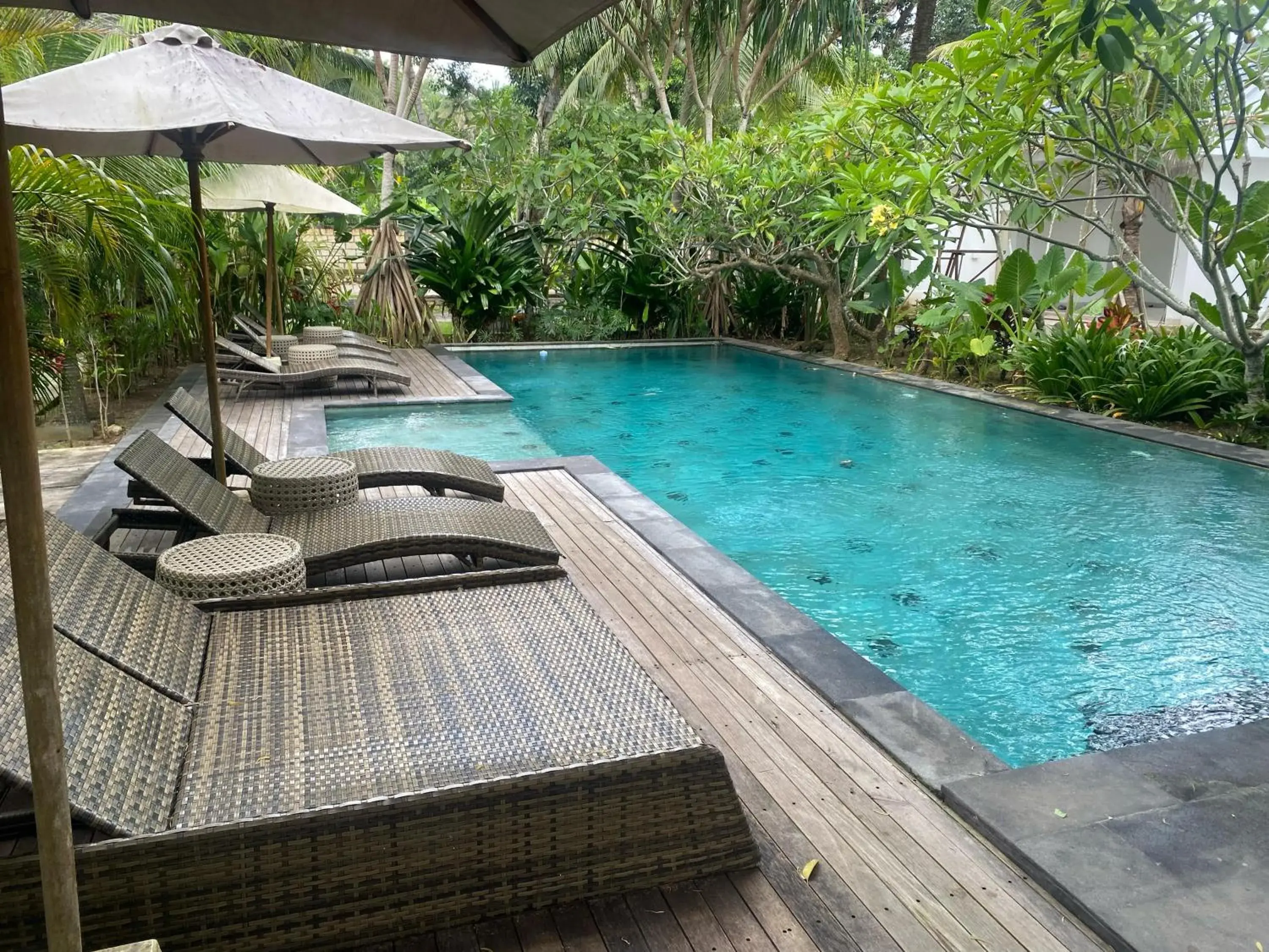 Bed in 4-Bed Female Dormitory Room in Kulkul Bungalow Bed in 4-Bed Female Dormitory Room in Kulkul Bungalow