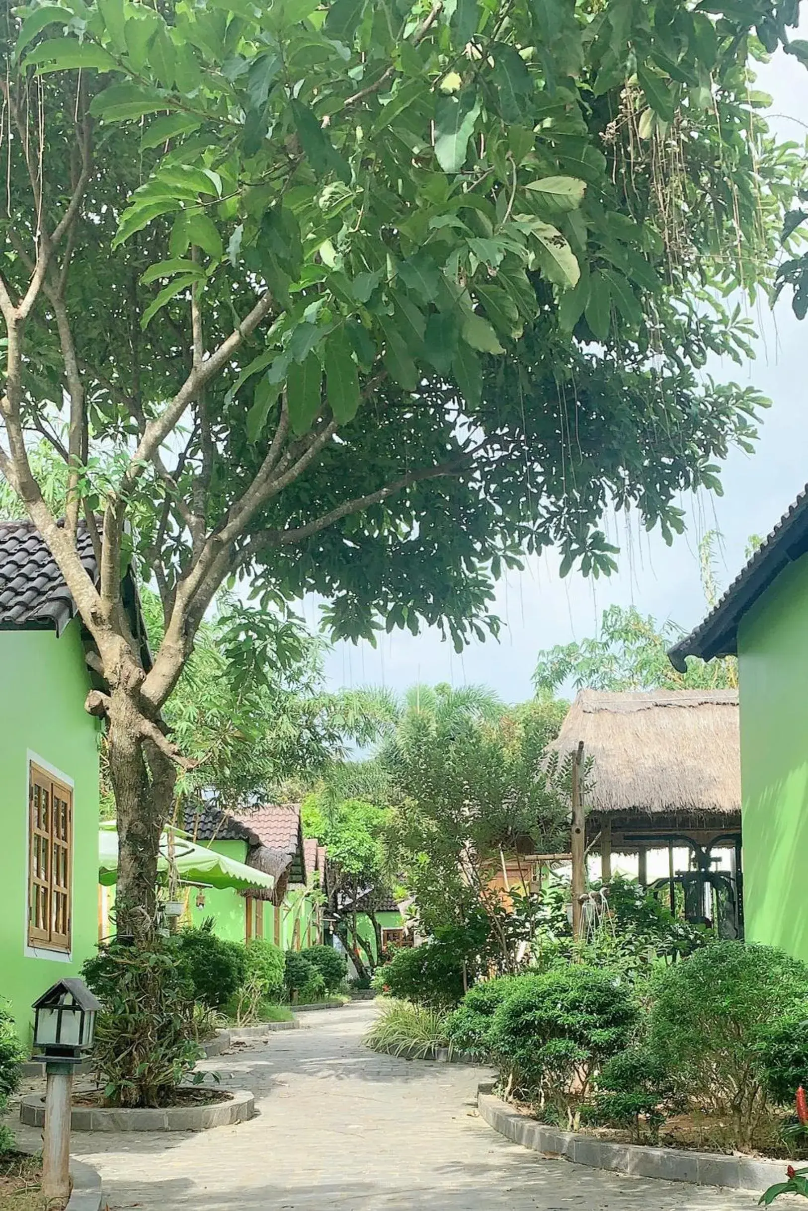 Property building in Bamboo Resort Phu Quoc Property building in Bamboo Resort Phu Quoc