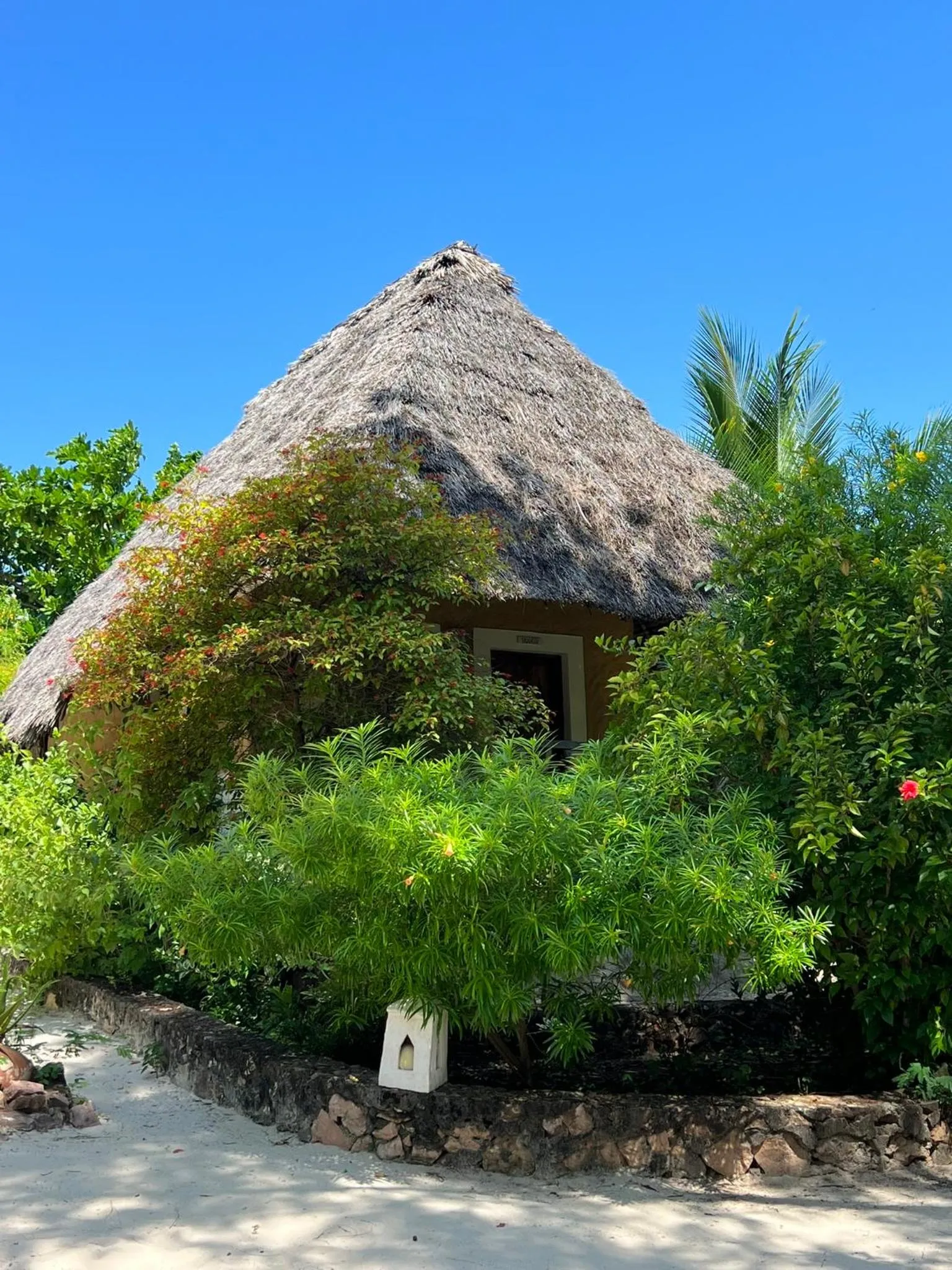 Natural landscape in Ujamaa Beach Resort