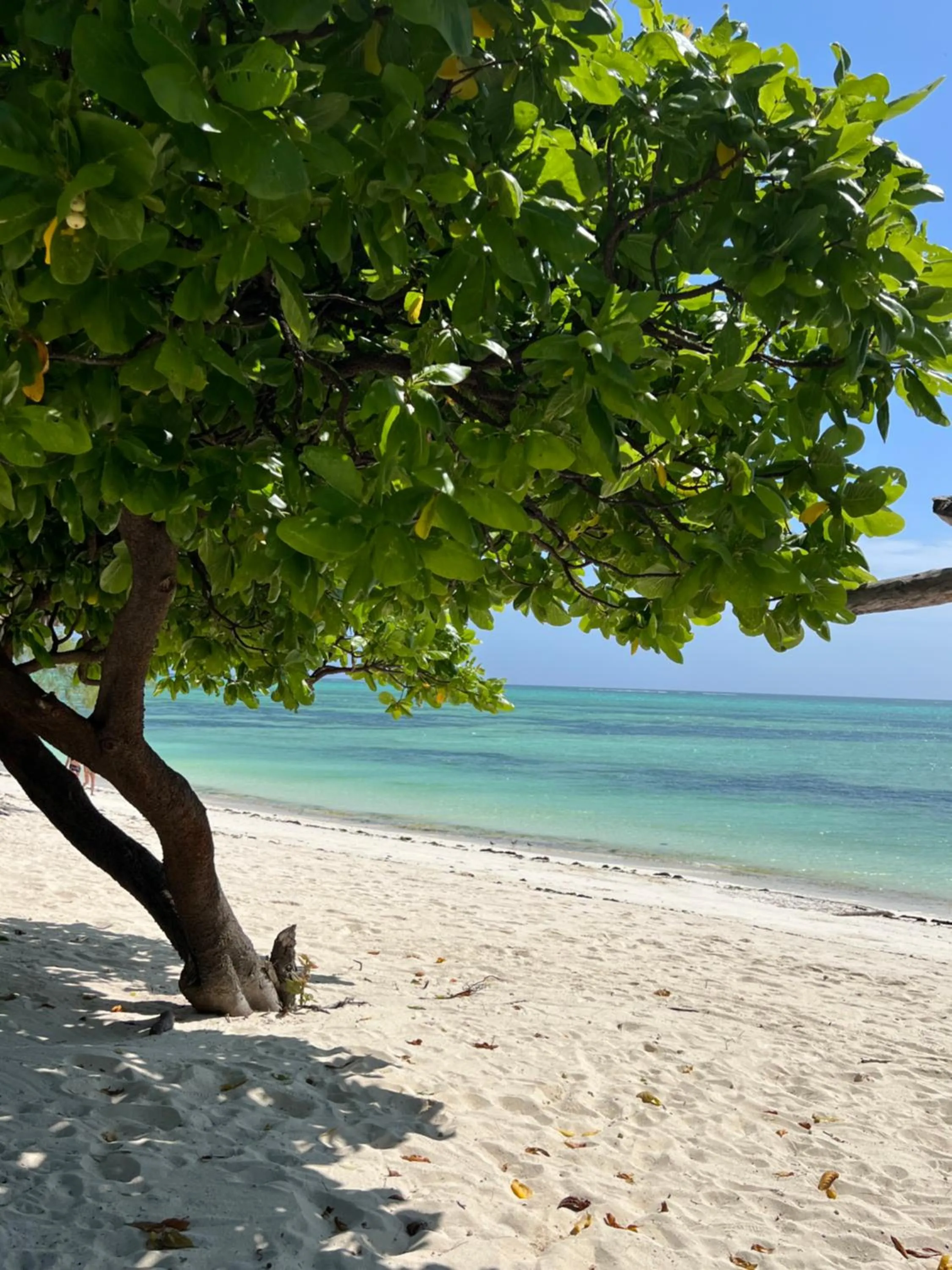 Day in Ujamaa Beach Resort