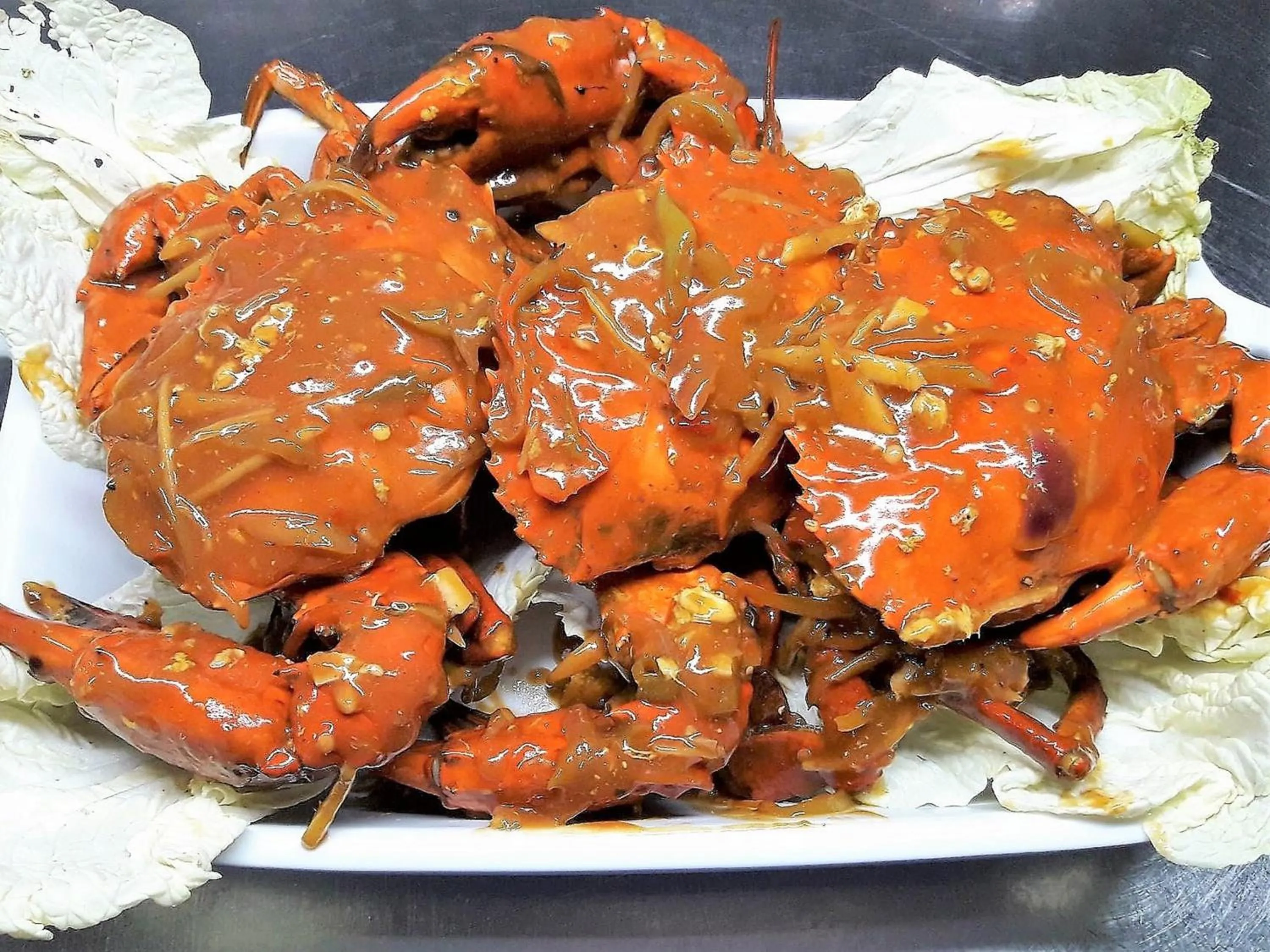 Out of the Blue Resort