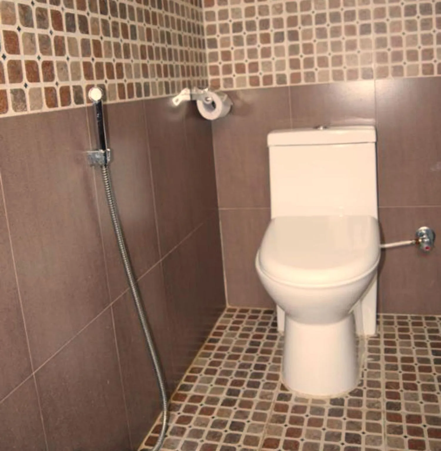 Toilet in The Exotic House