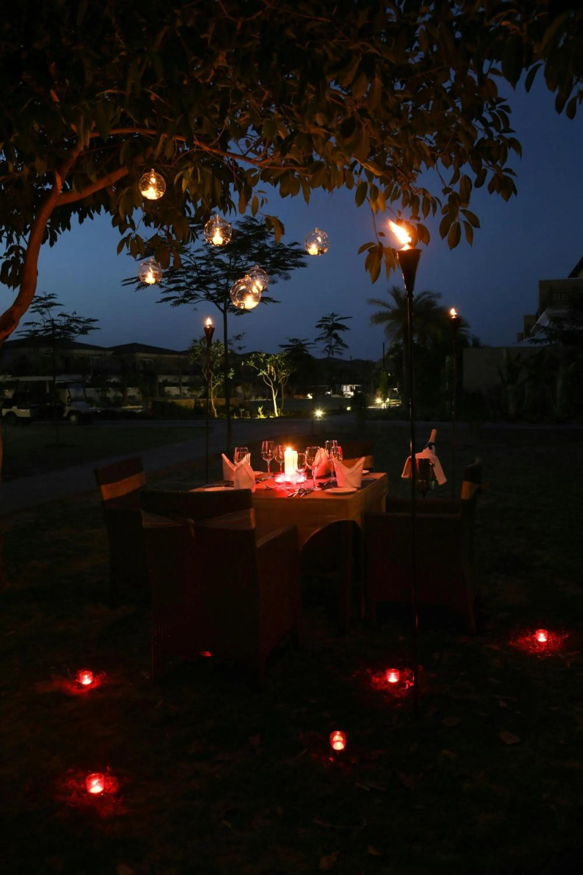 Other in The Westin Pushkar Resort & Spa