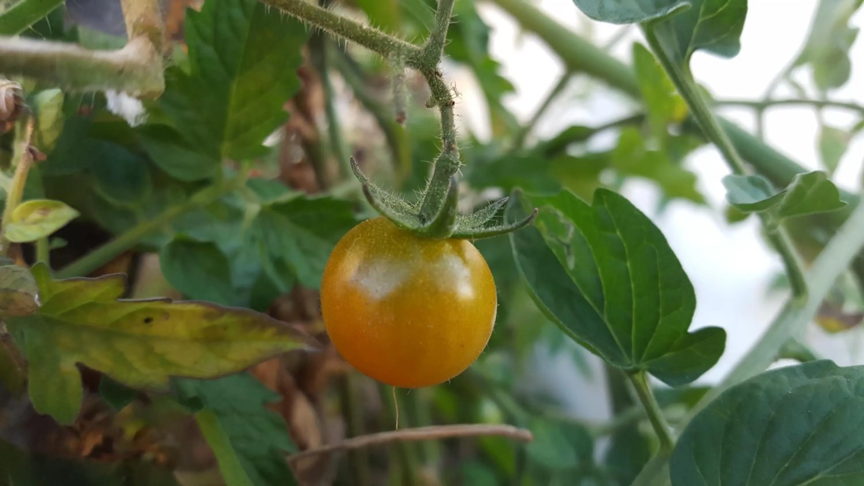 Shower in GITE-Hotel LA CAZ DES ORANGERS