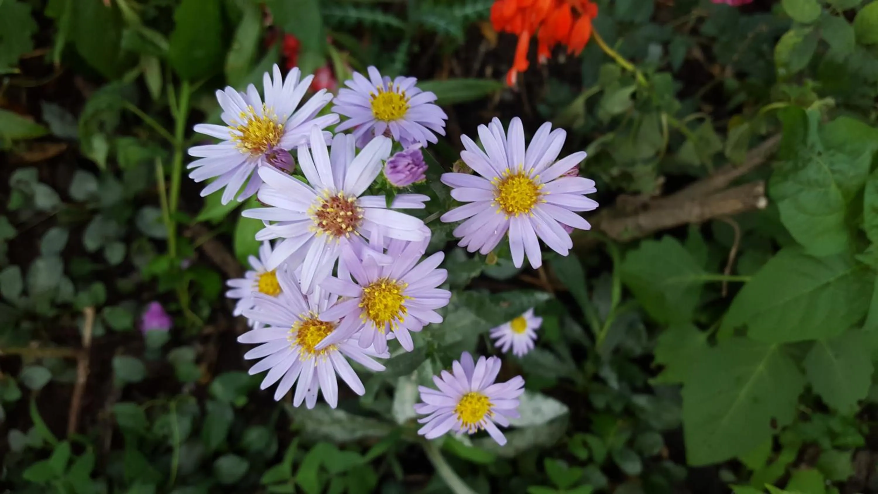 Property building in GITE-Hotel LA CAZ DES ORANGERS