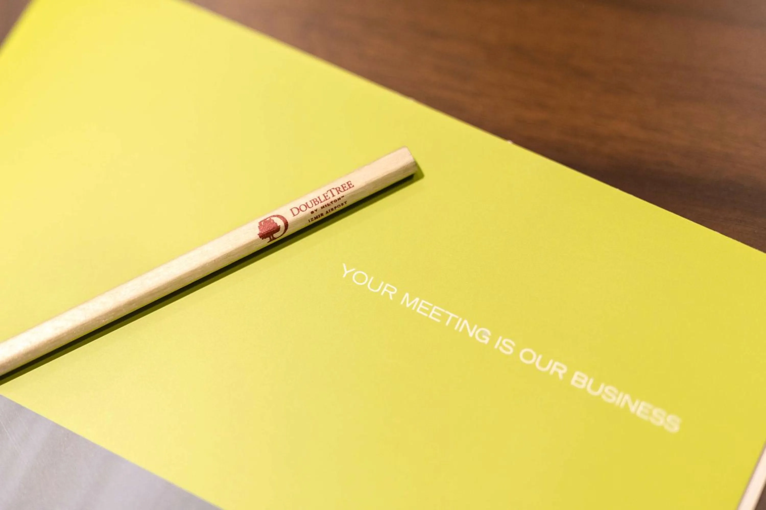 Meeting/conference room in DoubleTree By Hilton Izmir Airport