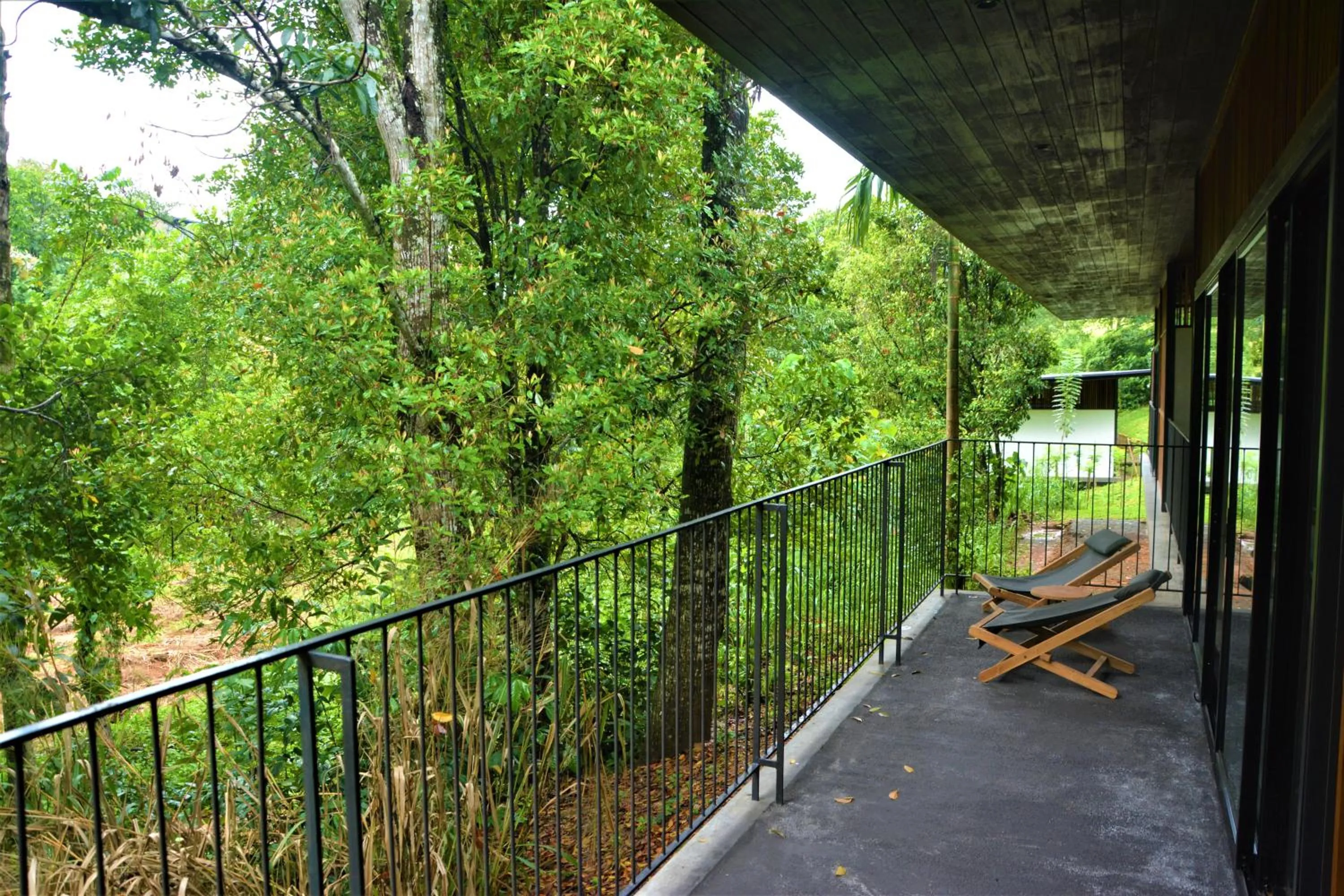 Garden view in Santani Wellness Kandy