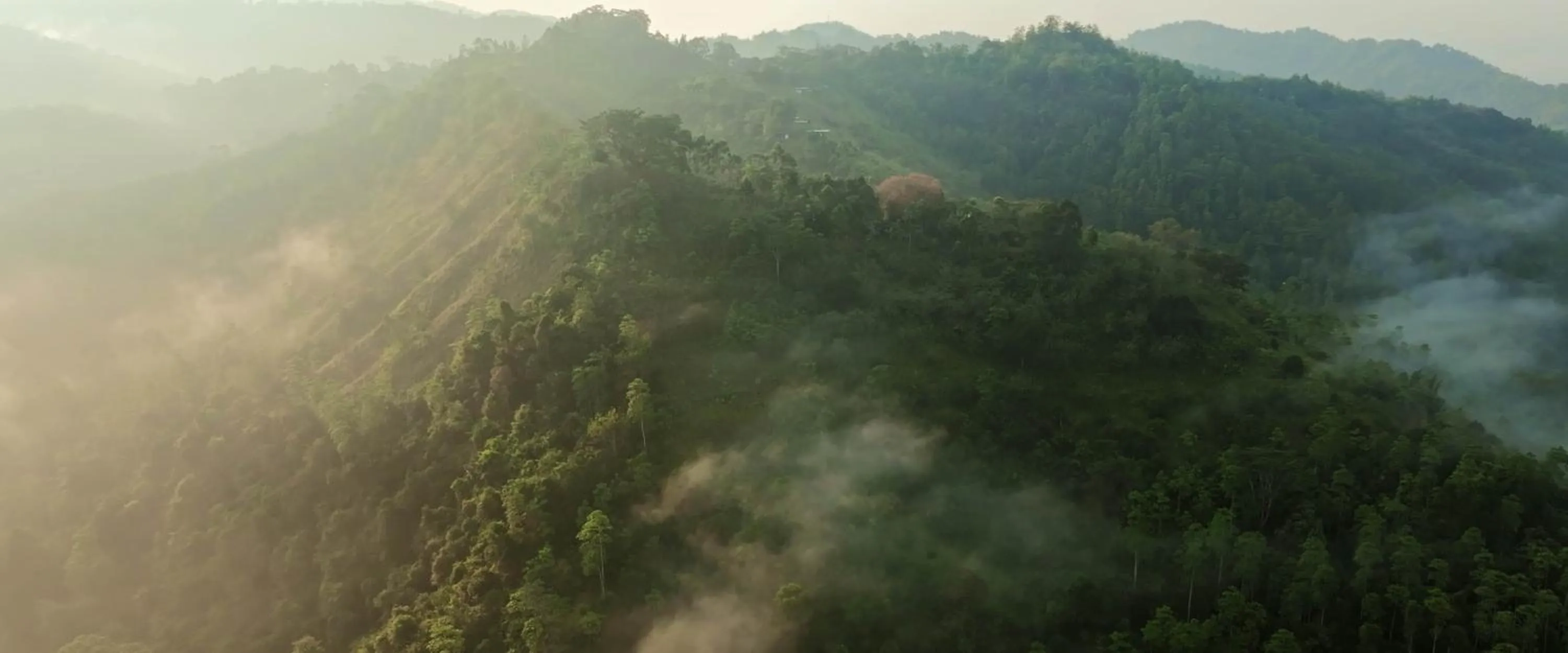 VIP in Santani Wellness Kandy