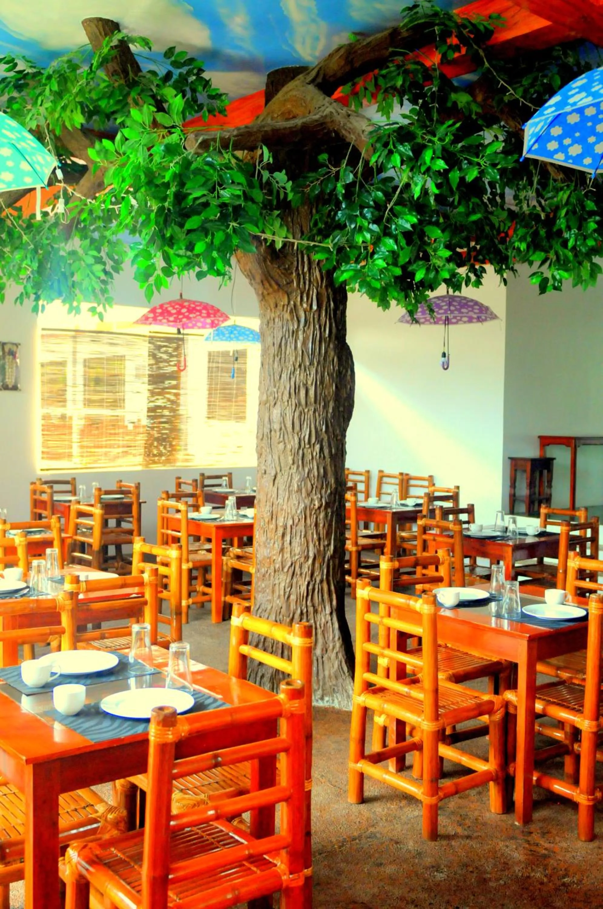 Restaurant/places to eat in Oasis Resort and Spa