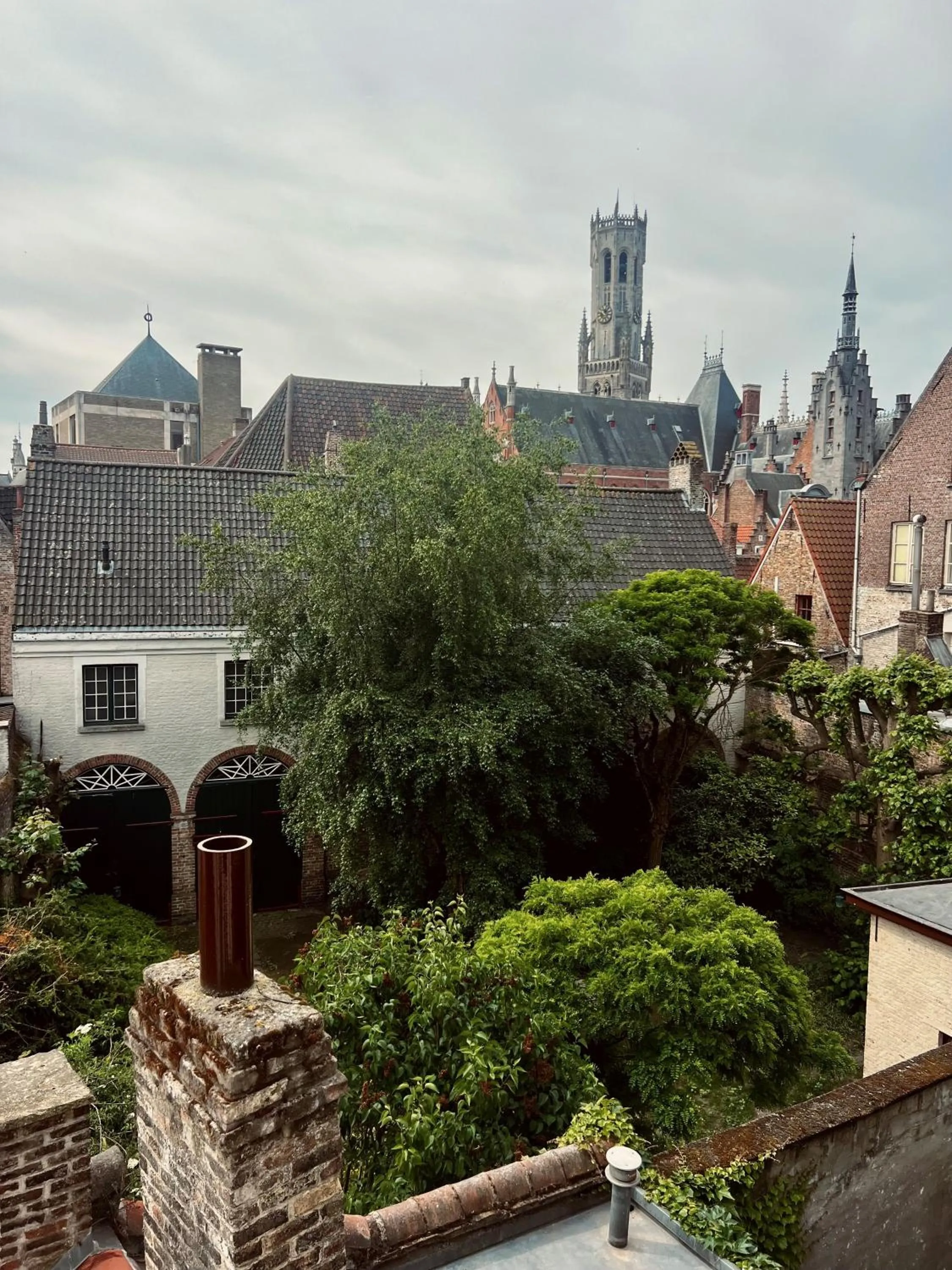 View (from property/room) in Hotel Rose Red