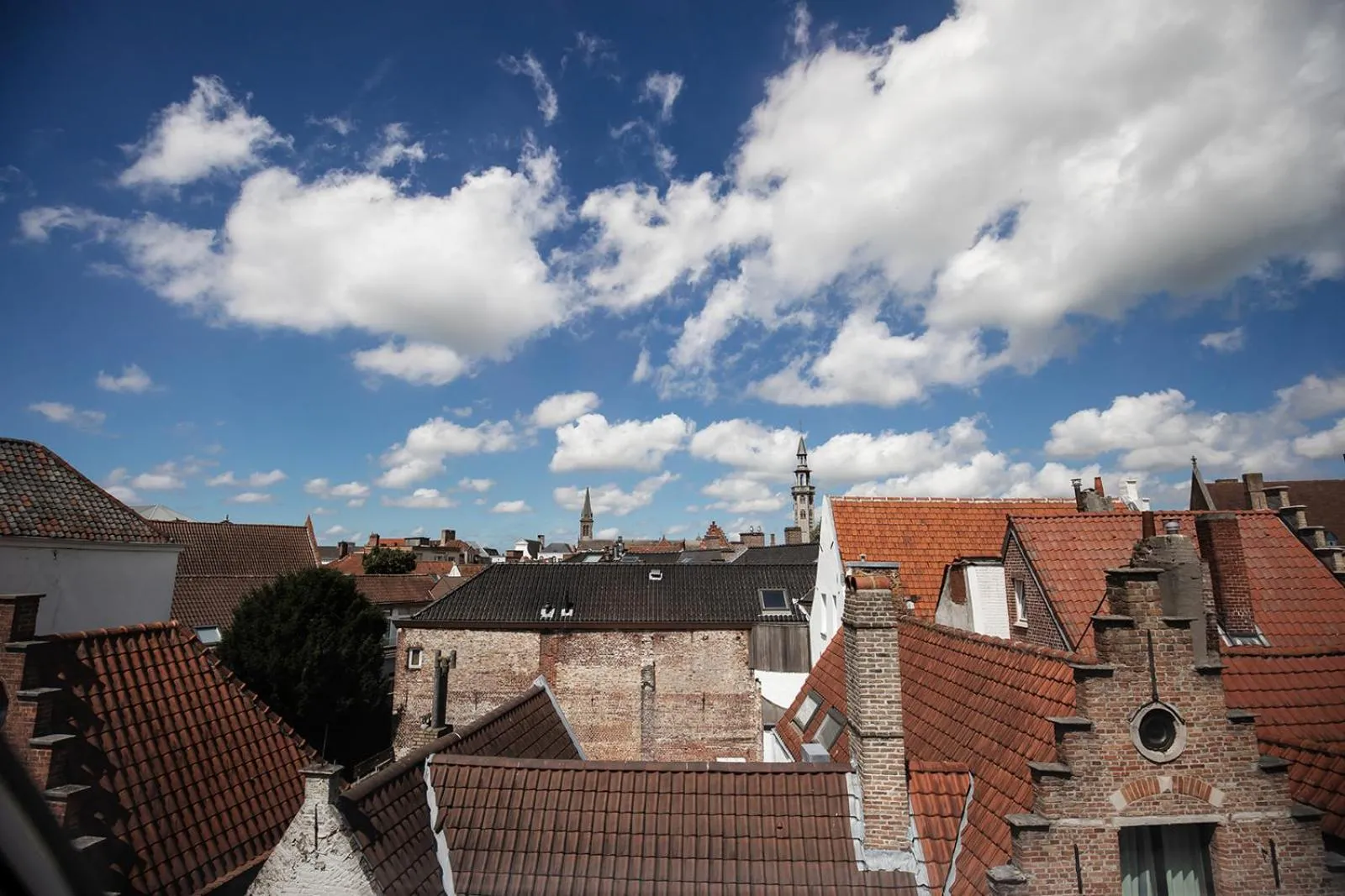 View (from property/room) in Hotel Rose Red