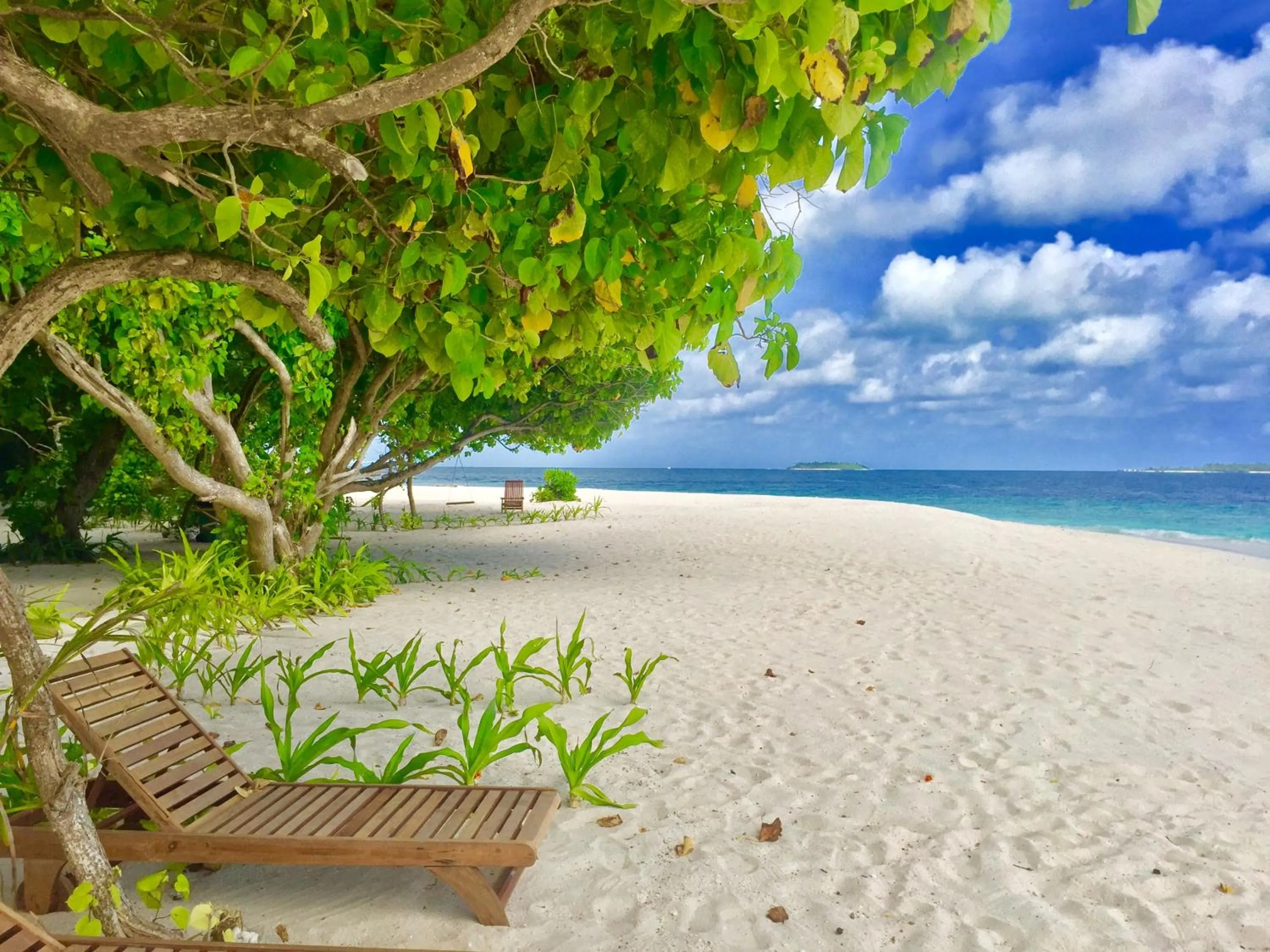 Nearby landmark in Ithaa Inn Kamadhoo