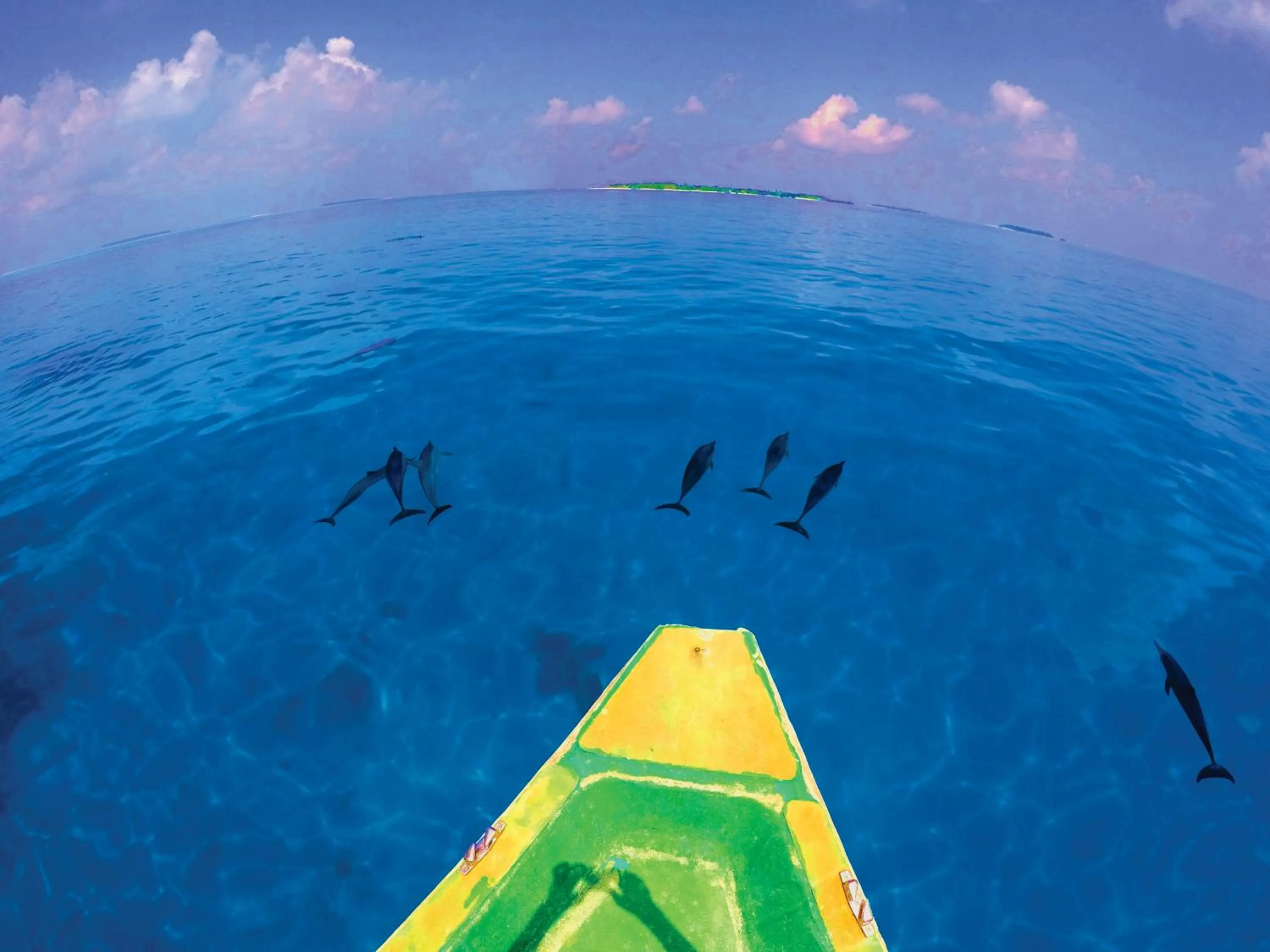 Activities in Ithaa Inn Kamadhoo