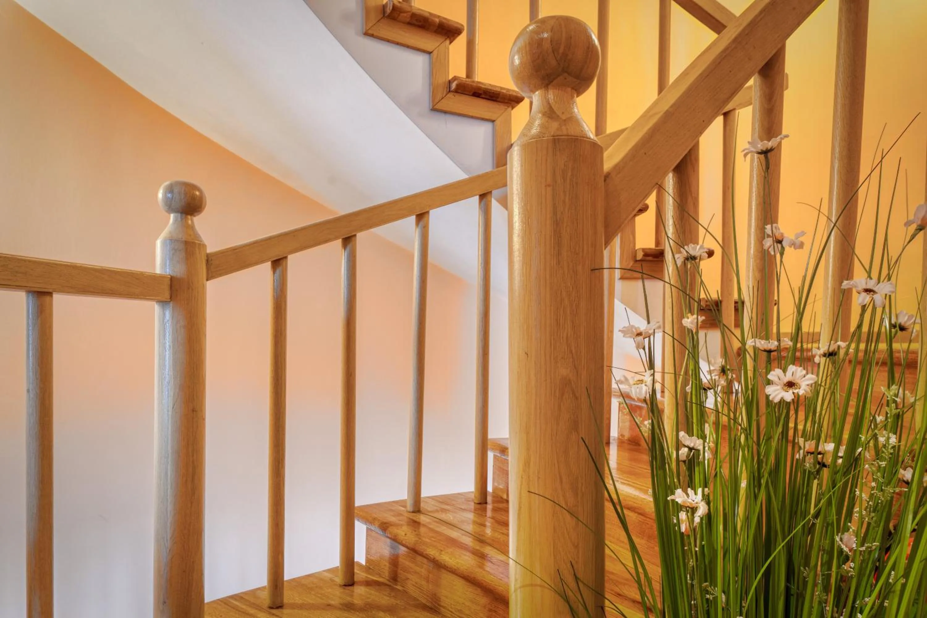 Property building in Hotel Soli Invicto