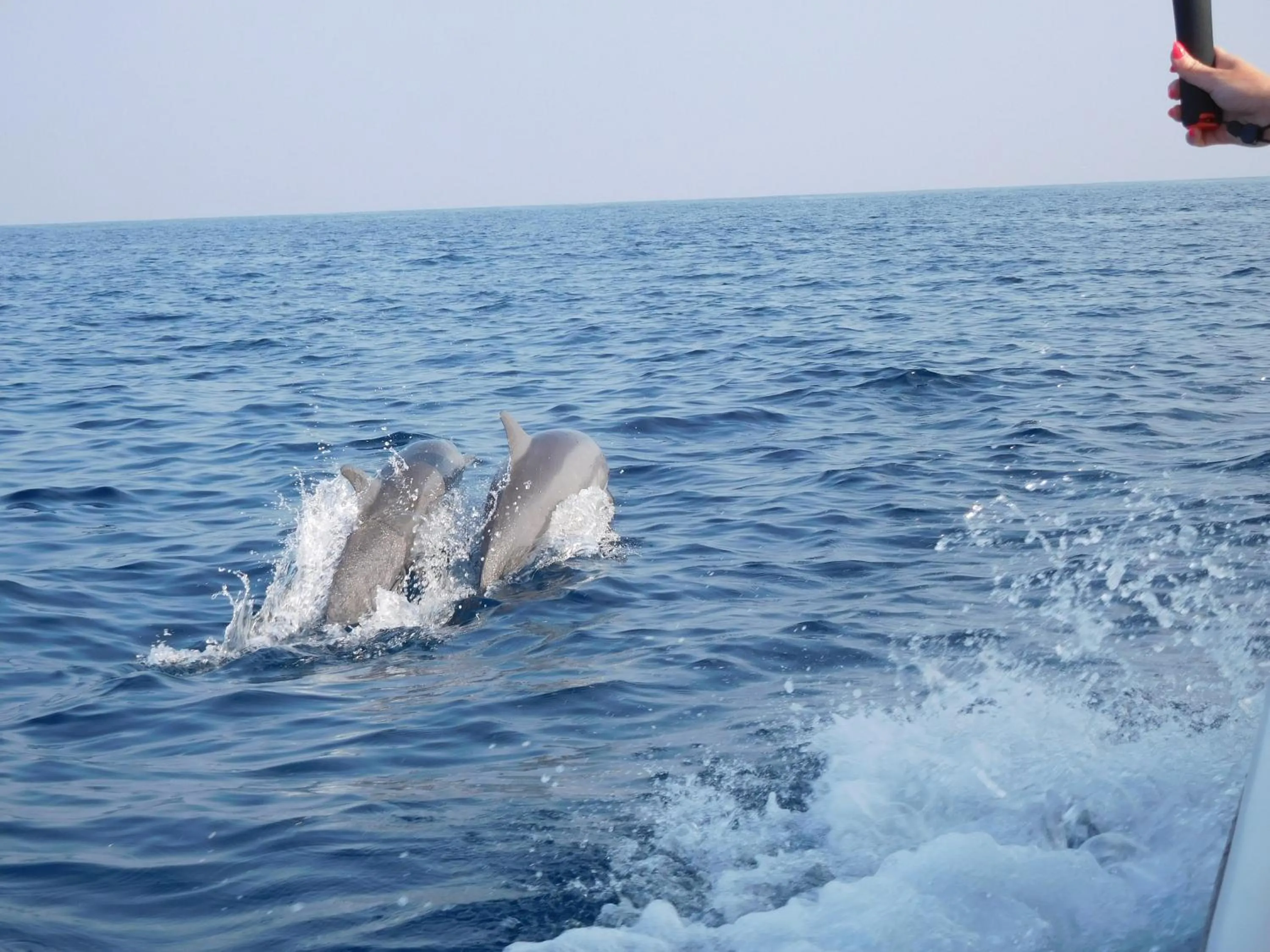 Area and facilities in Holiday Haven Ukulhas