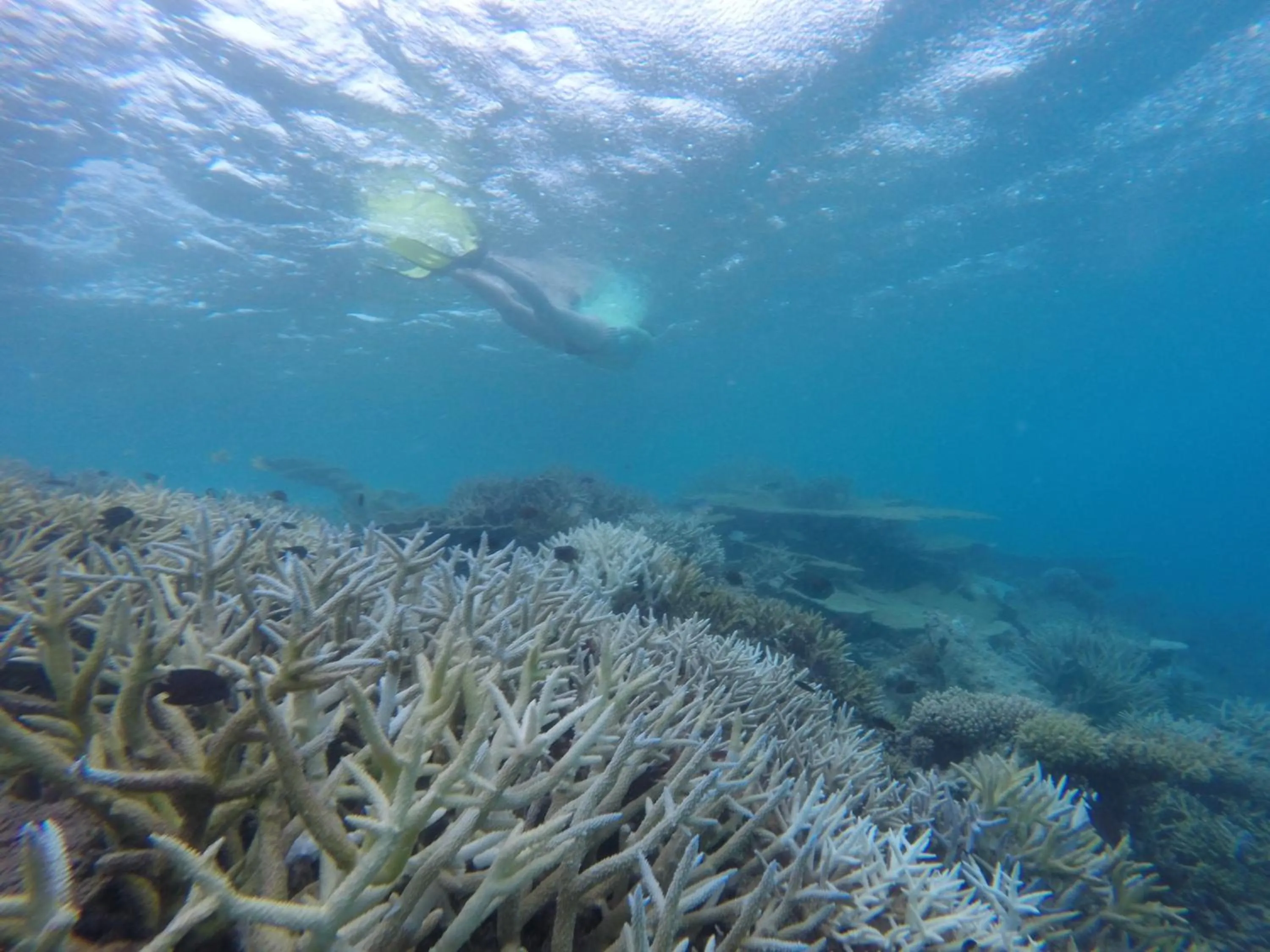 Natural landscape in Holiday Haven Ukulhas