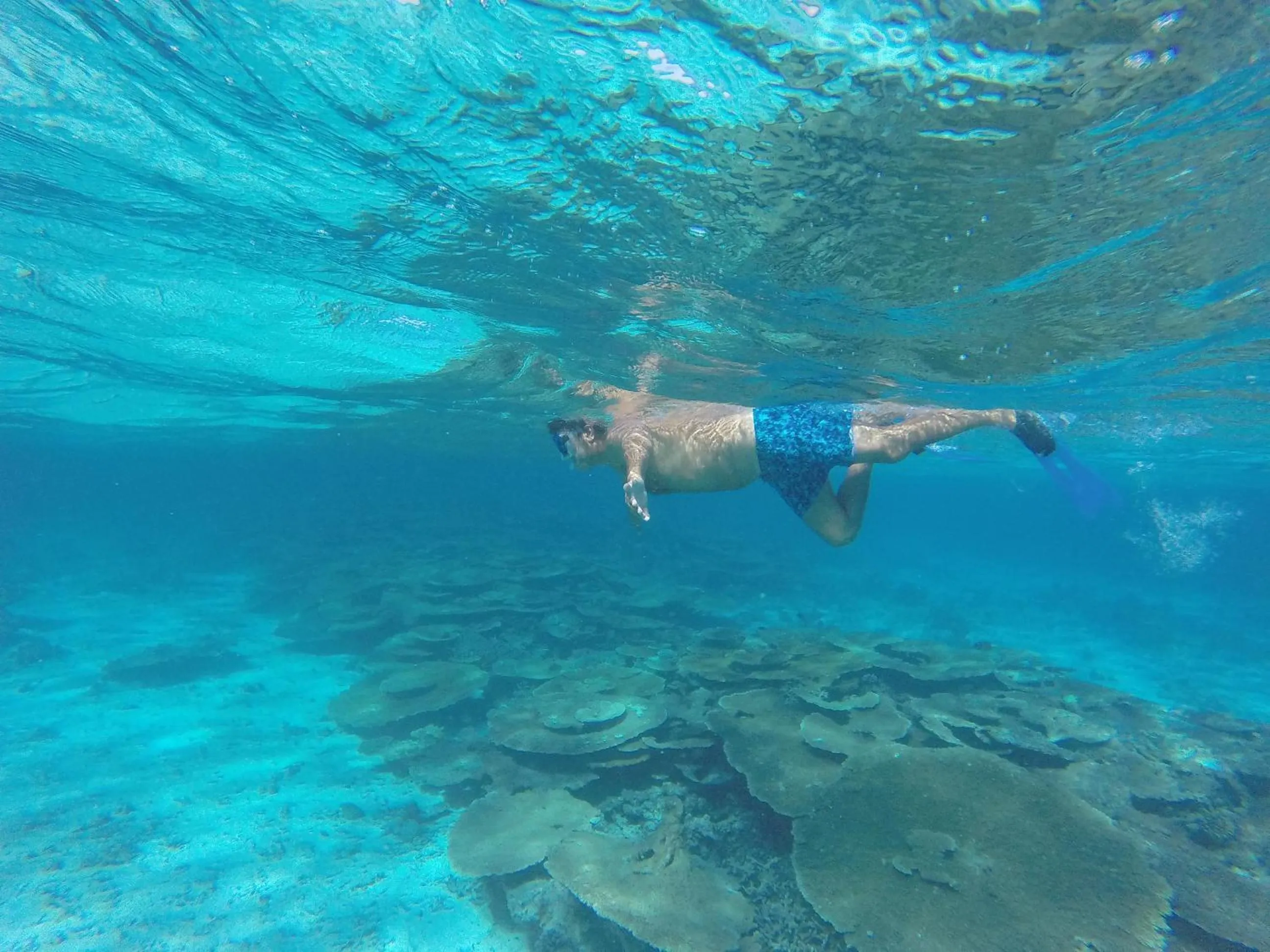Snorkeling in Holiday Haven Ukulhas