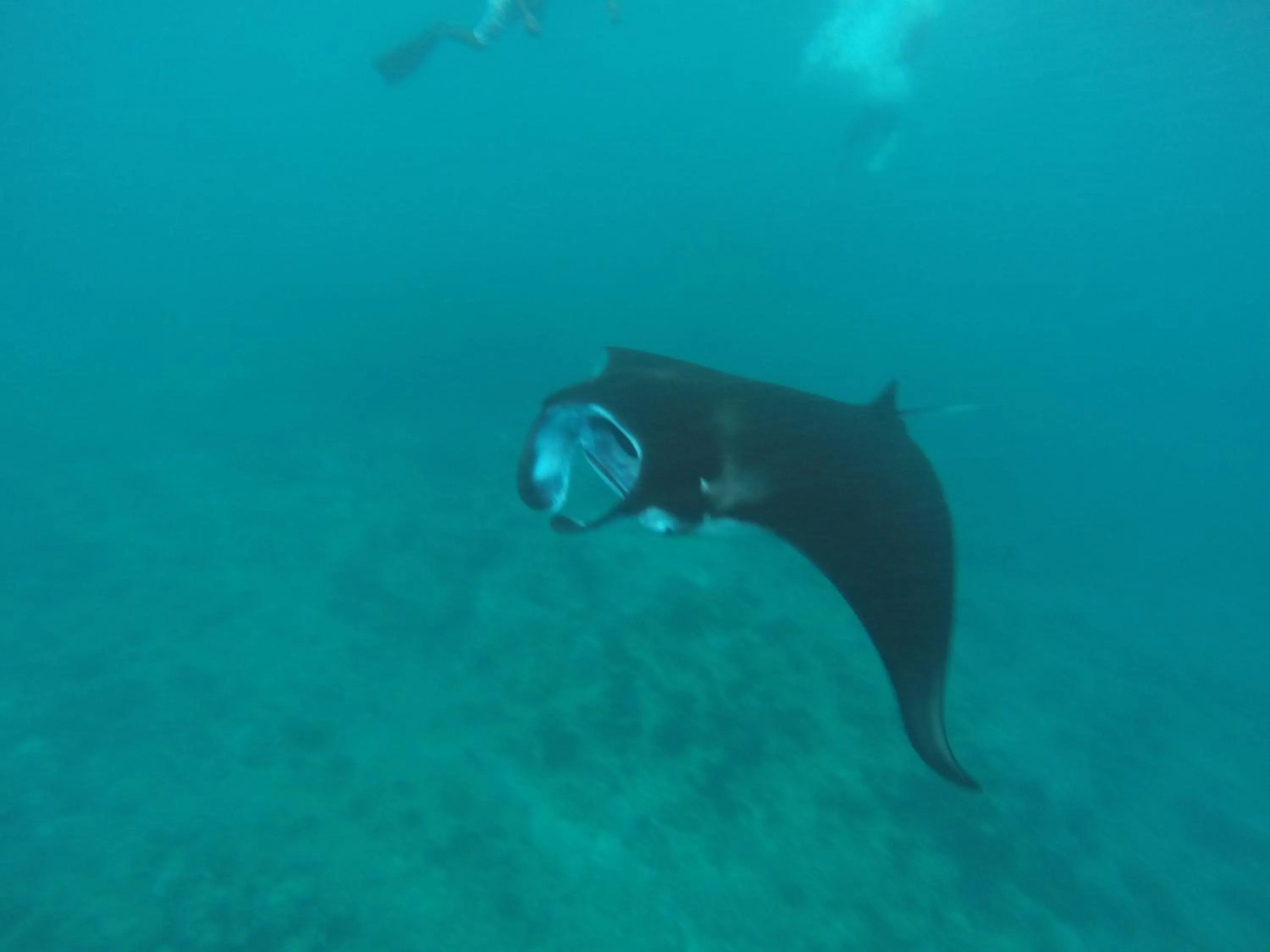 Nearby landmark in Holiday Haven Ukulhas