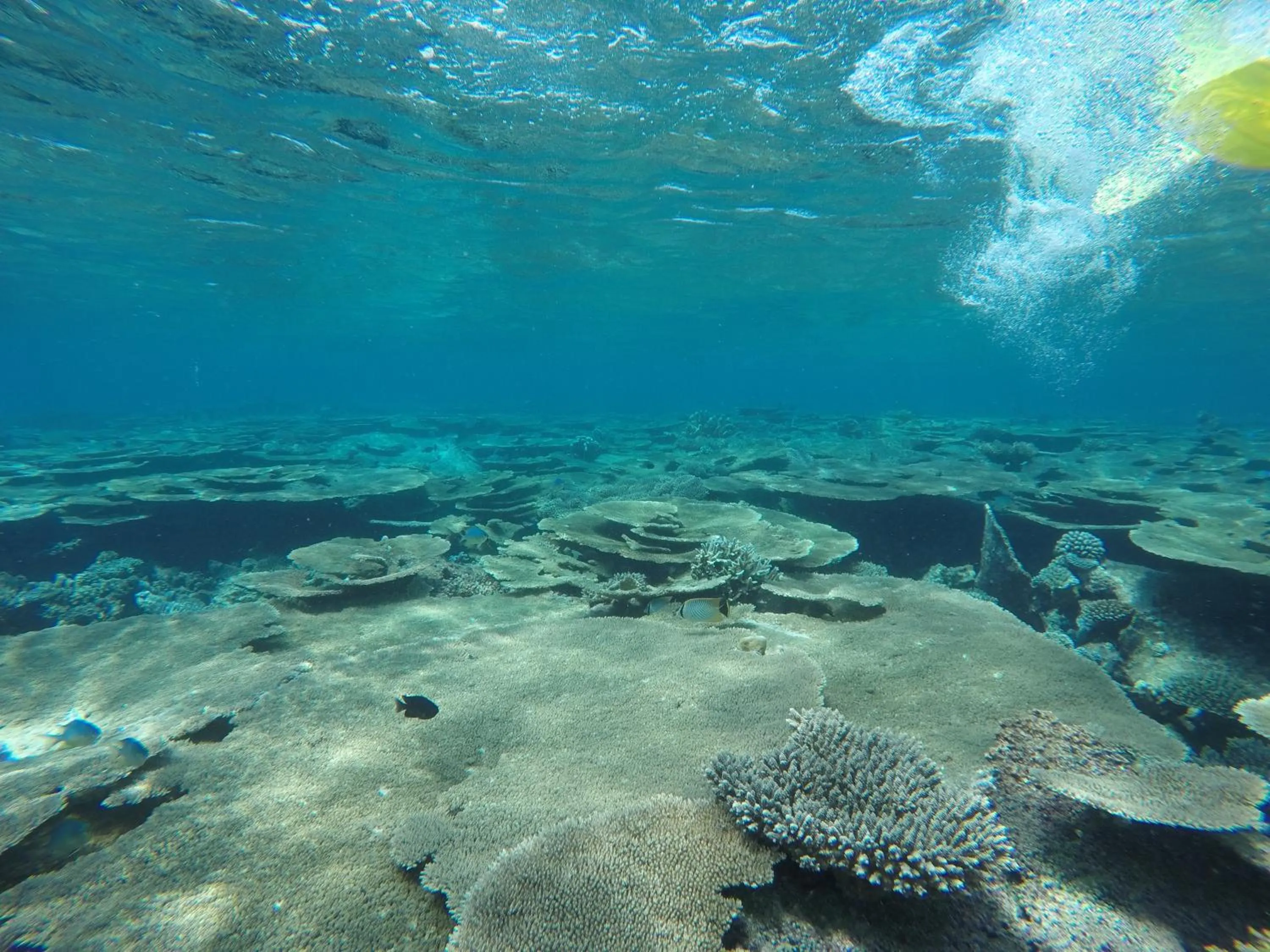 Activities in Holiday Haven Ukulhas