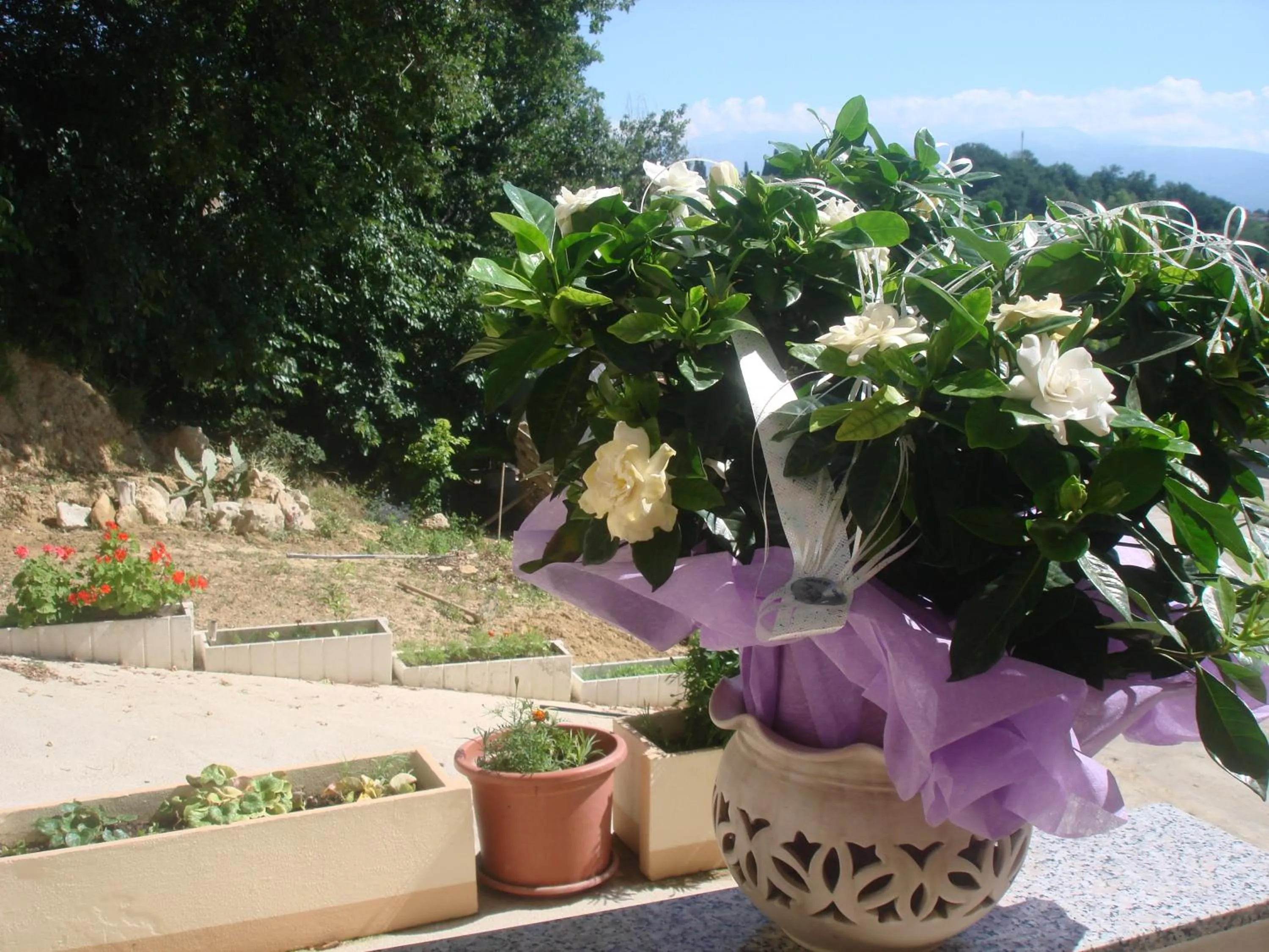 Property building in B&B Villa Ciccone