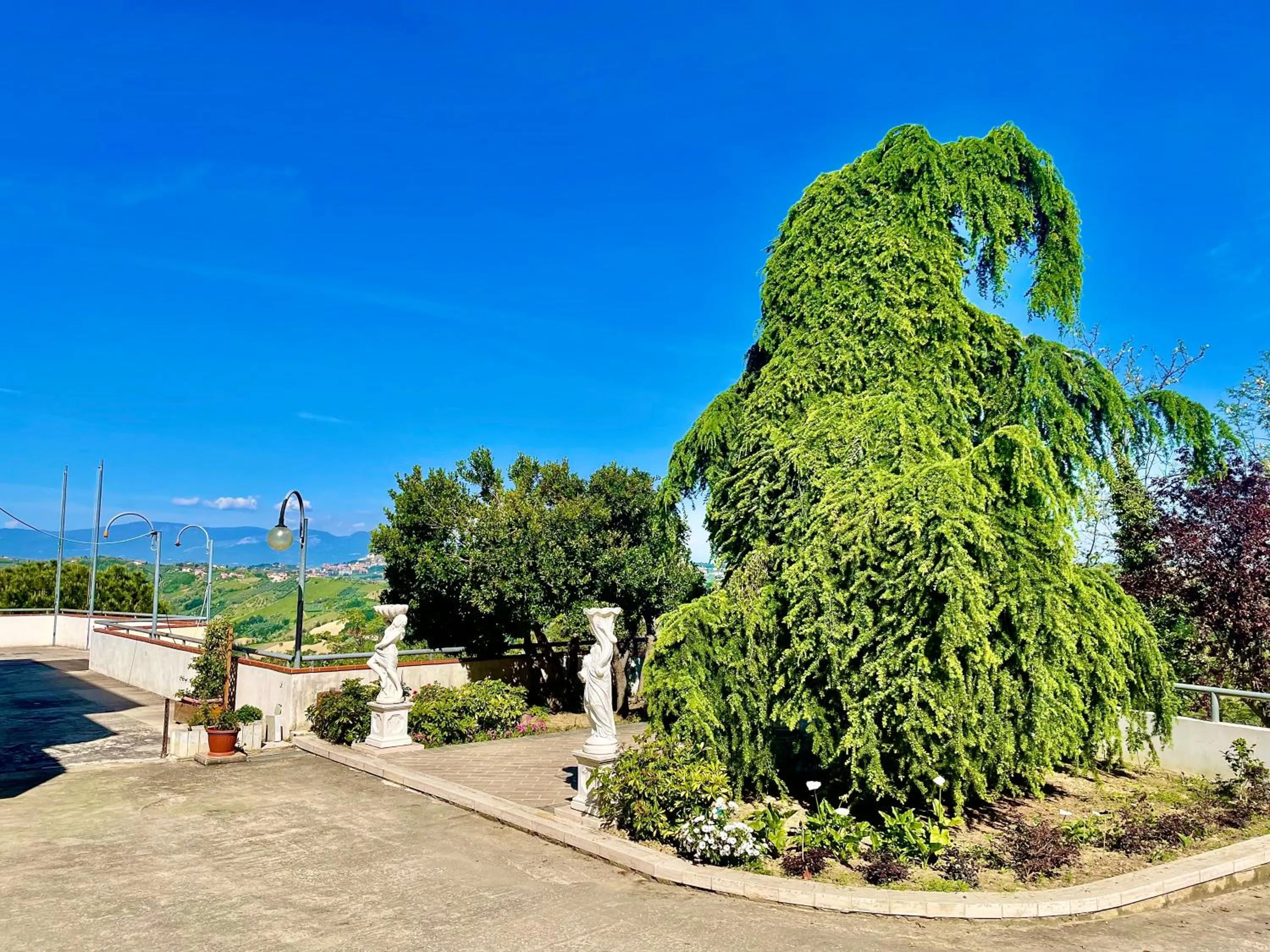 Natural landscape in B&B Villa Ciccone