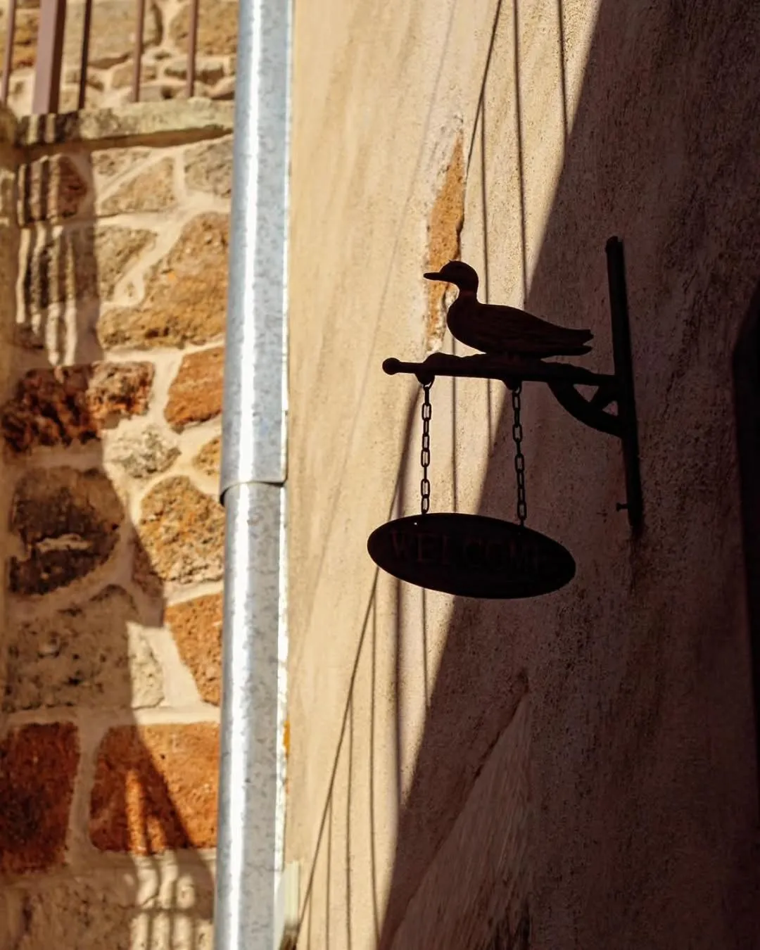 Property building in B&B Pergulea