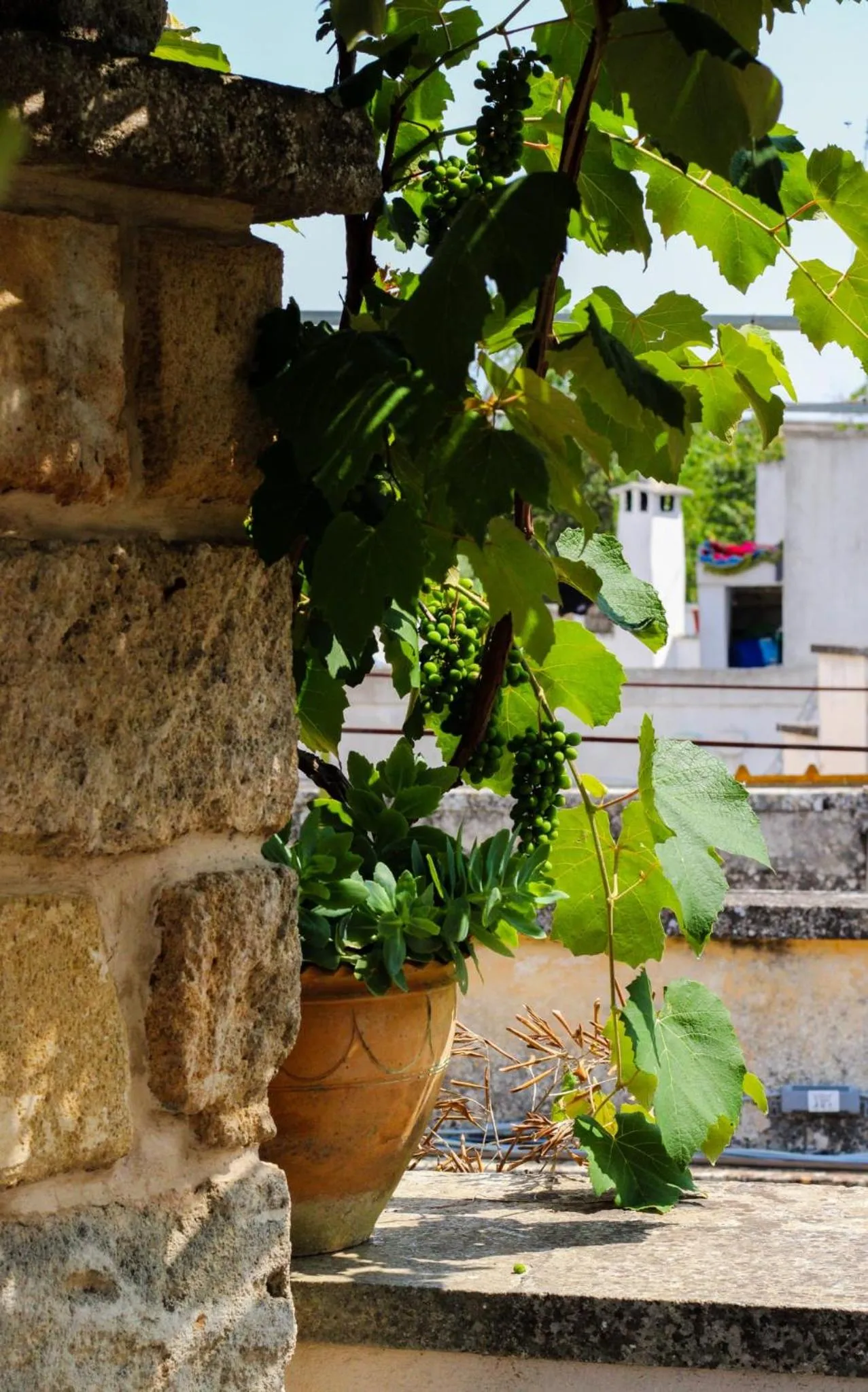 Balcony/Terrace in B&B Pergulea