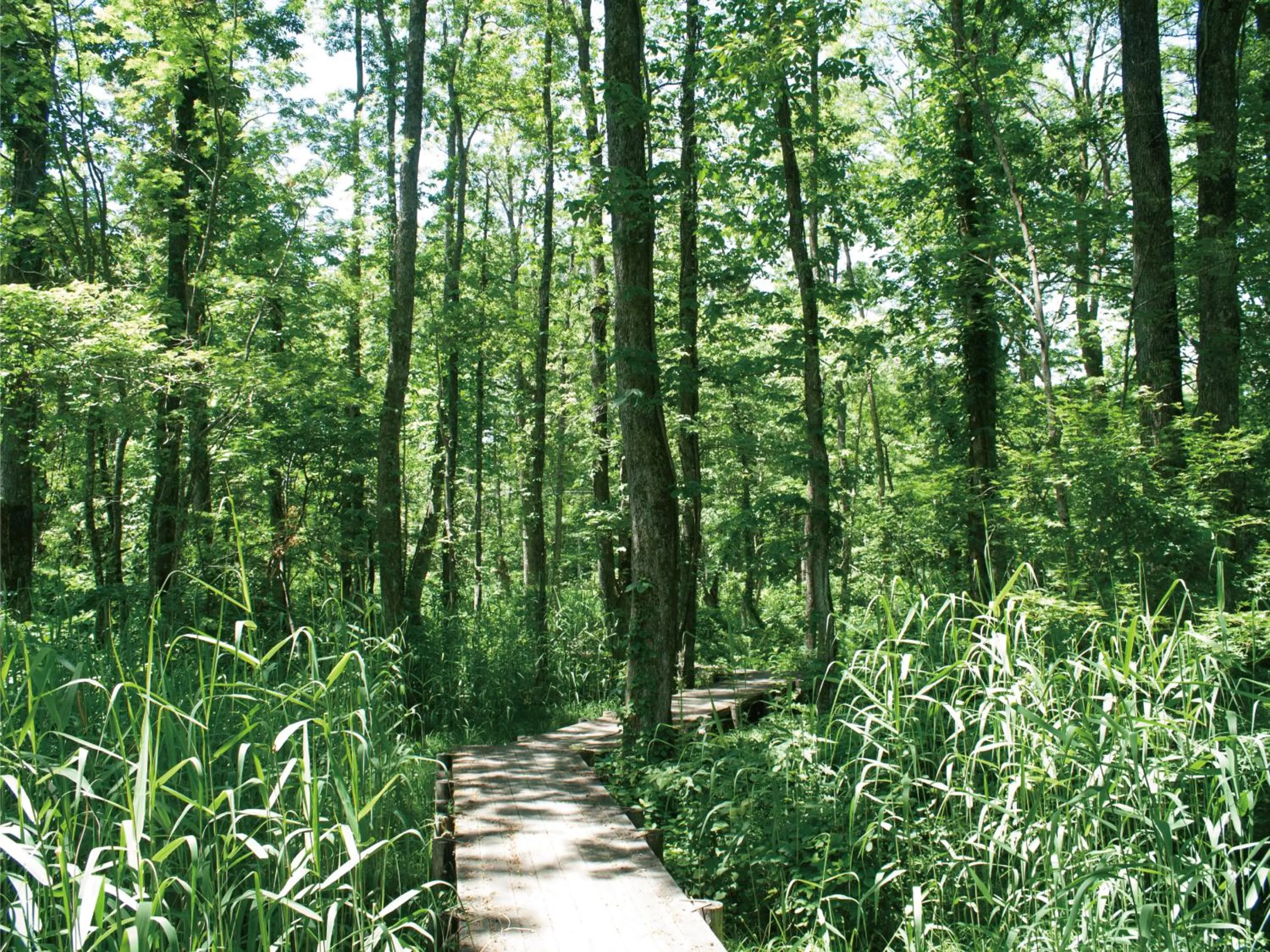 Nearby landmark in Villa Inawashiro
