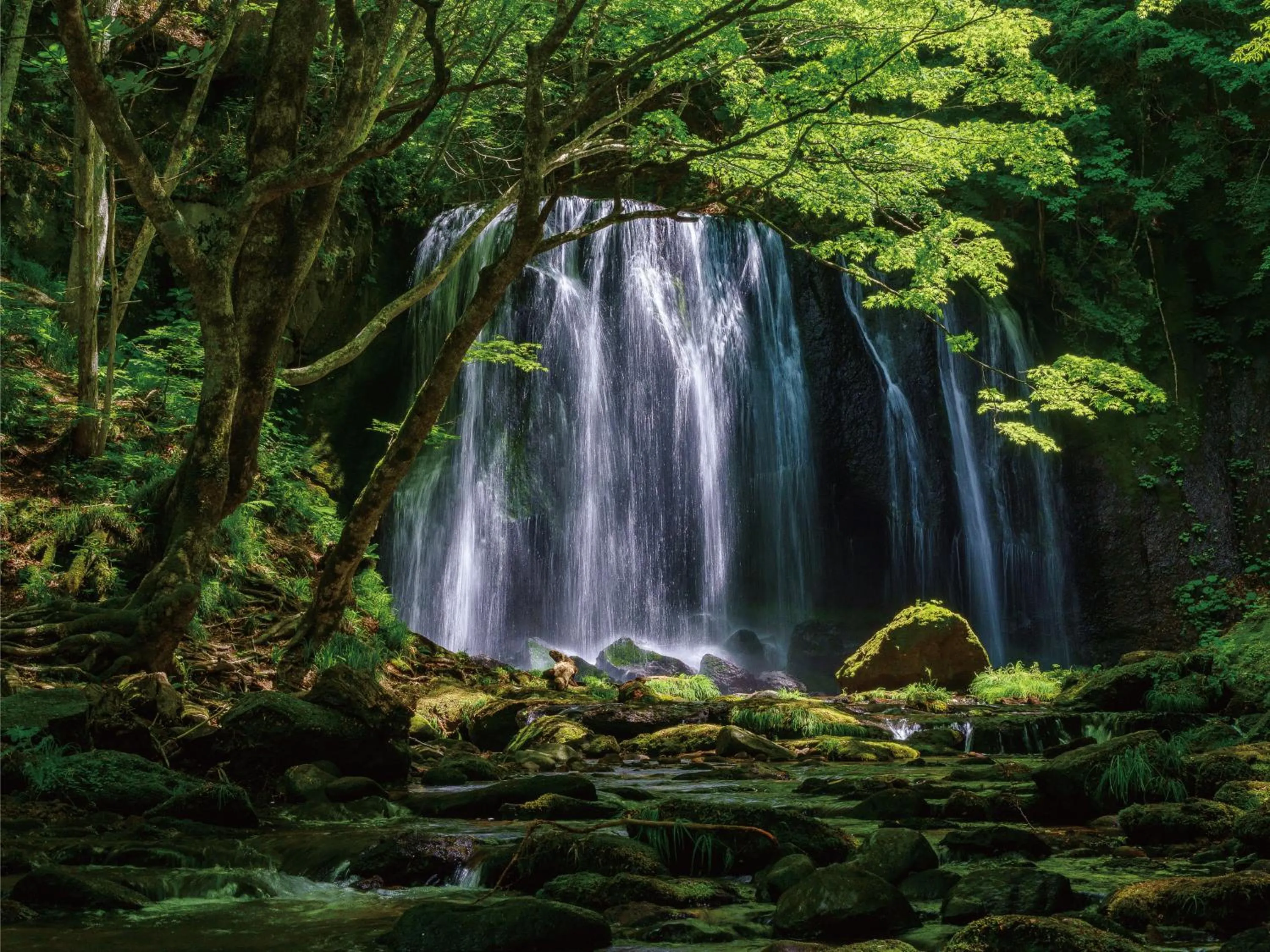 Nearby landmark in Villa Inawashiro