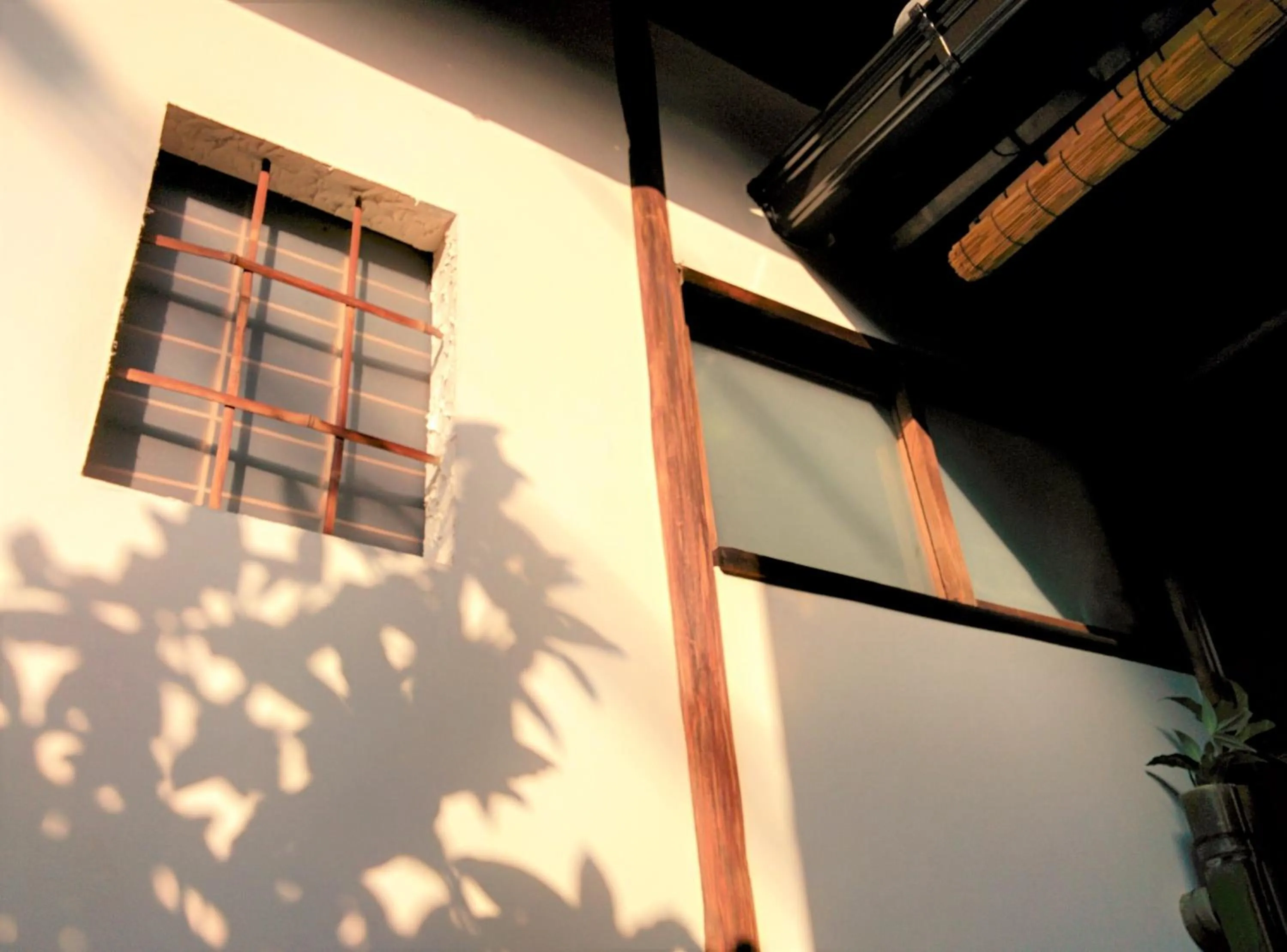 Garden in Murasakino Guesthouse