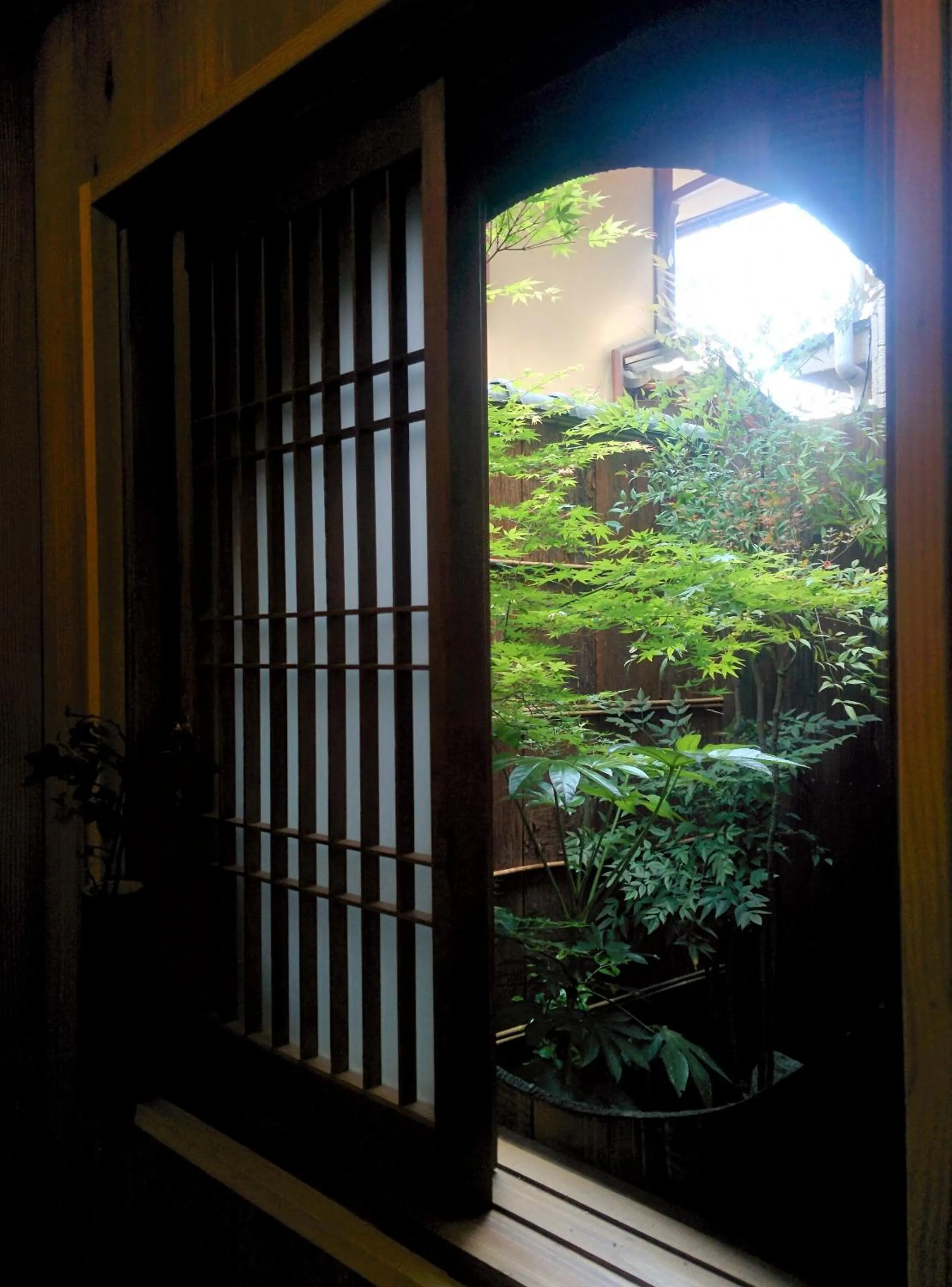 Garden in Murasakino Guesthouse