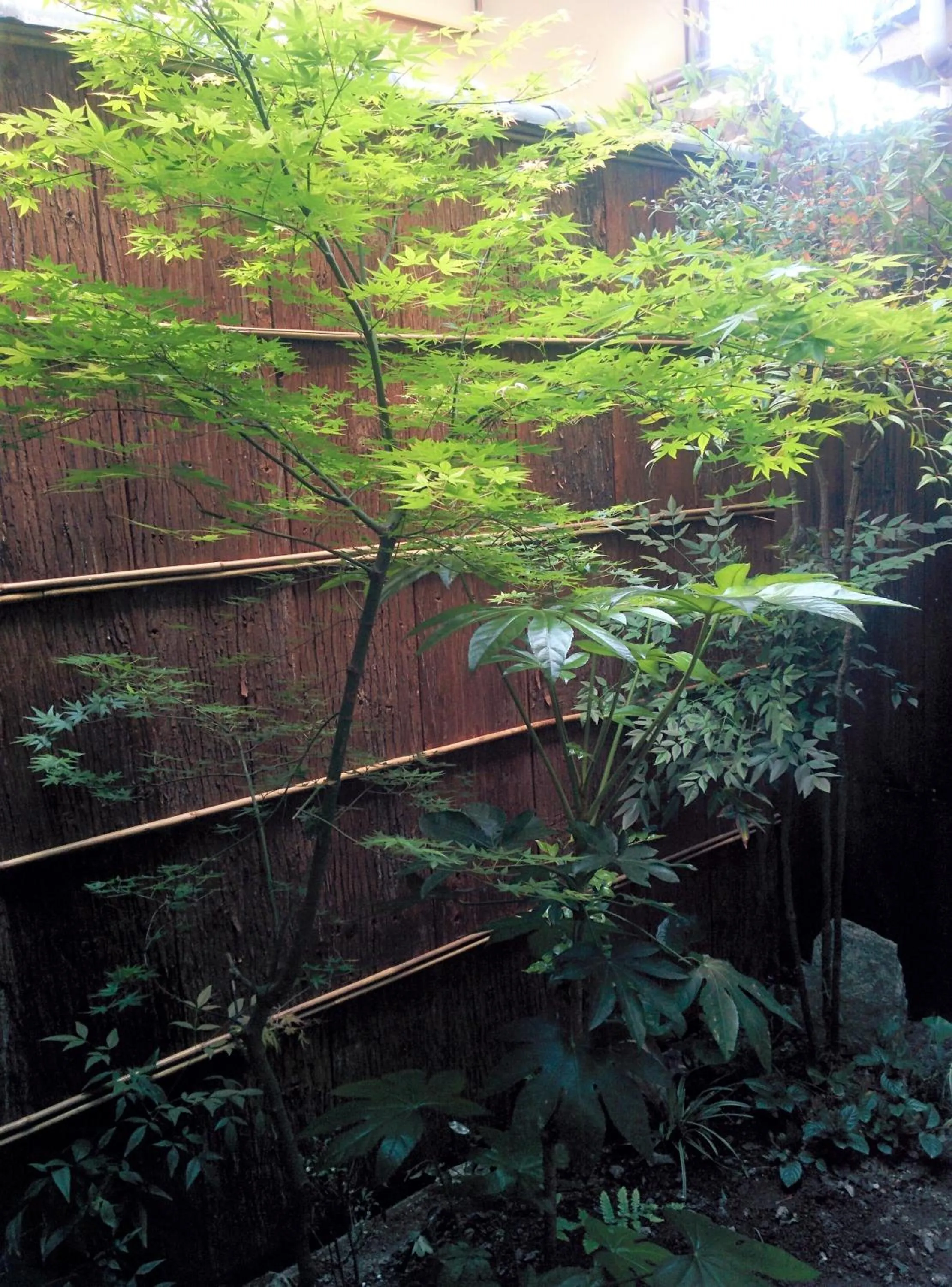 Garden in Murasakino Guesthouse