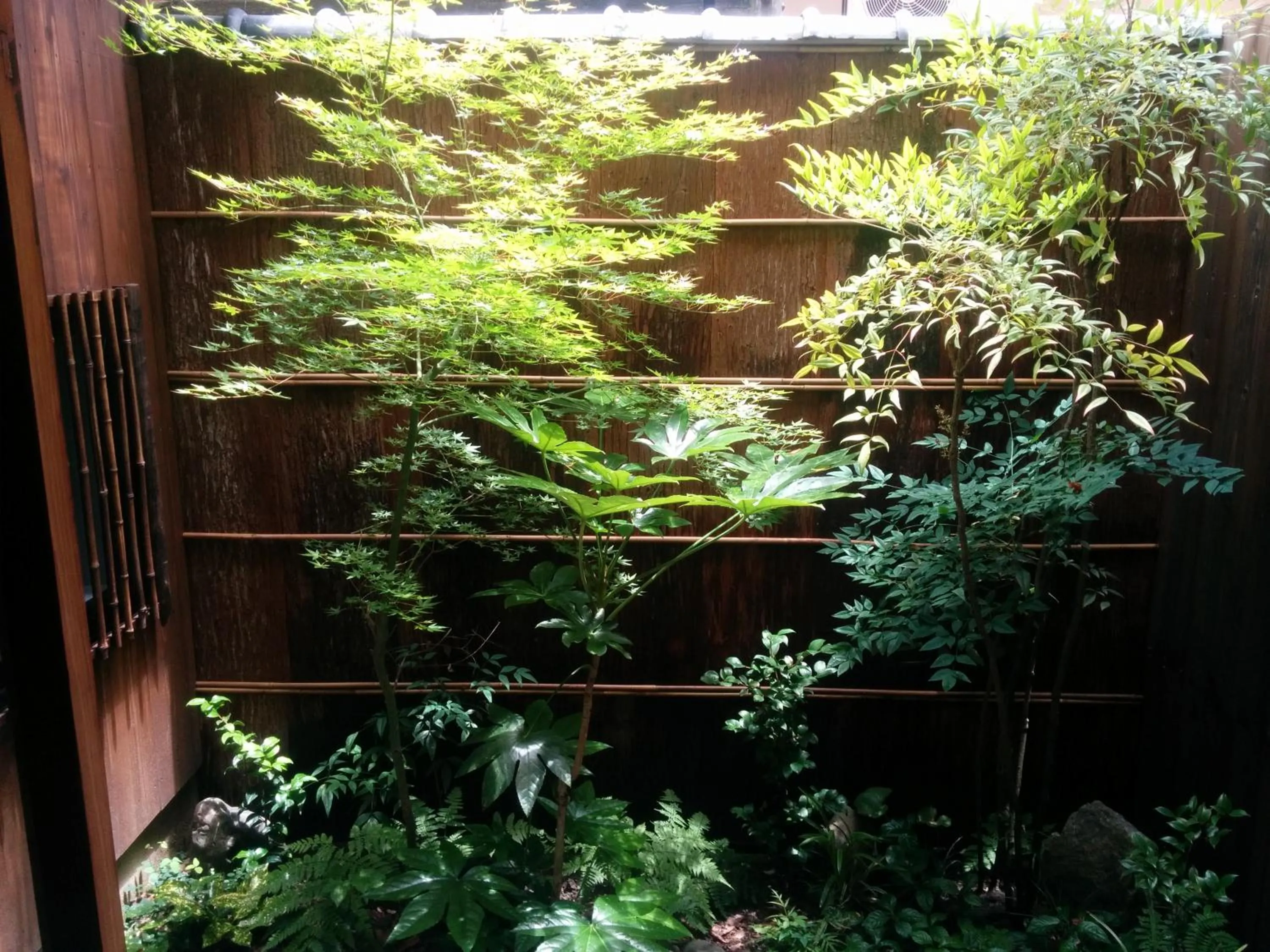 Garden in Murasakino Guesthouse