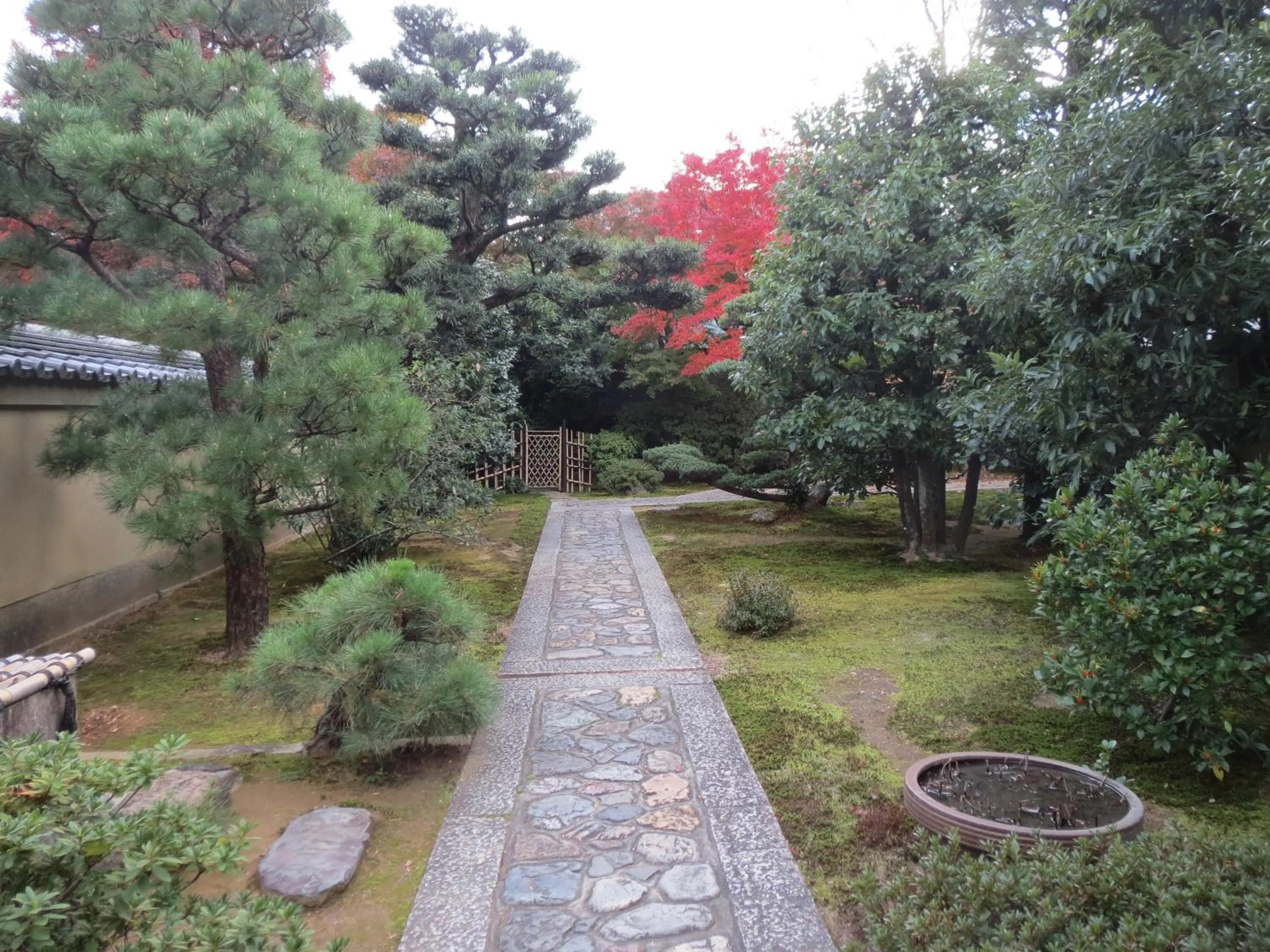 Neighbourhood in Murasakino Guesthouse