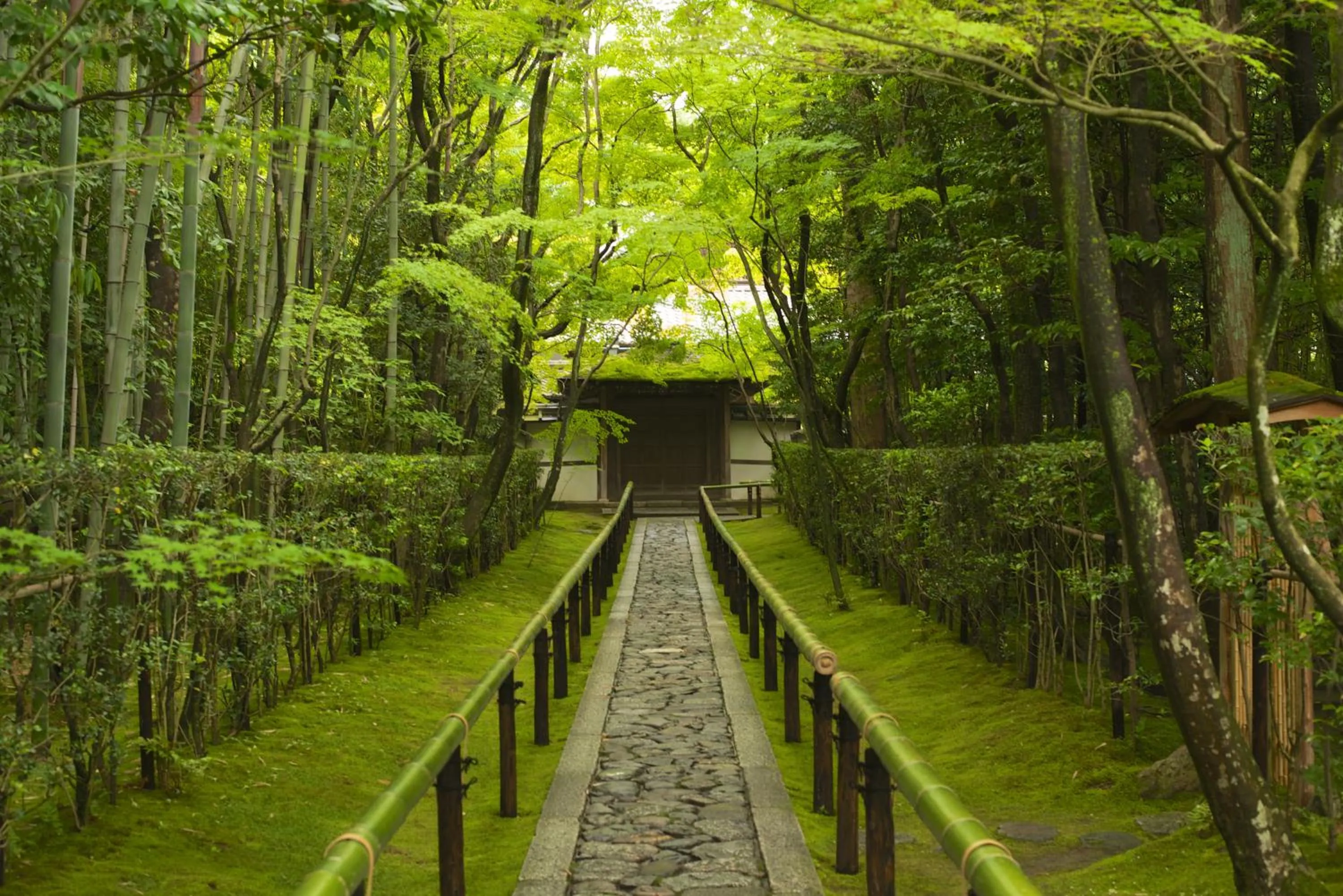 Neighbourhood in Murasakino Guesthouse