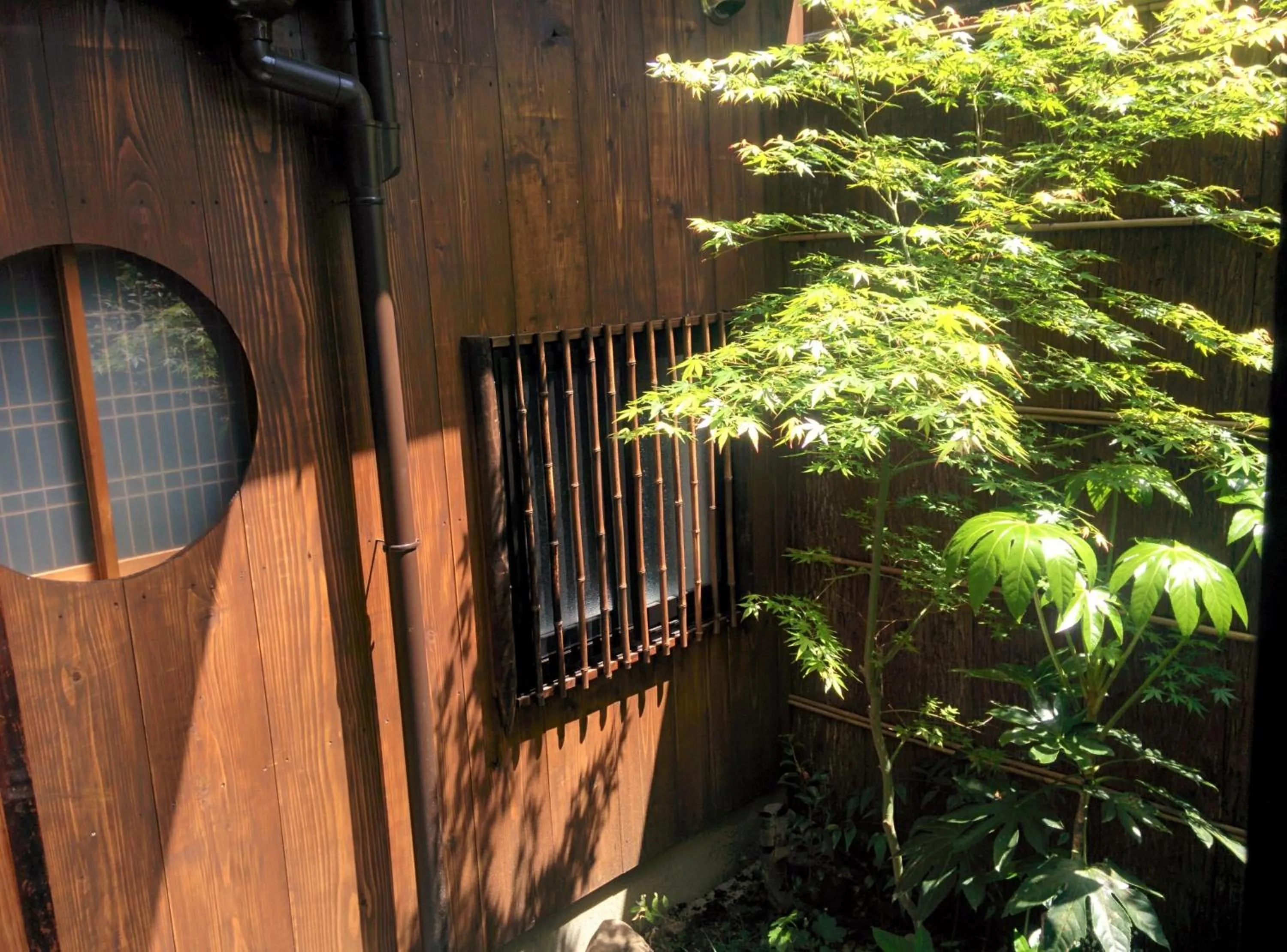 Garden in Murasakino Guesthouse