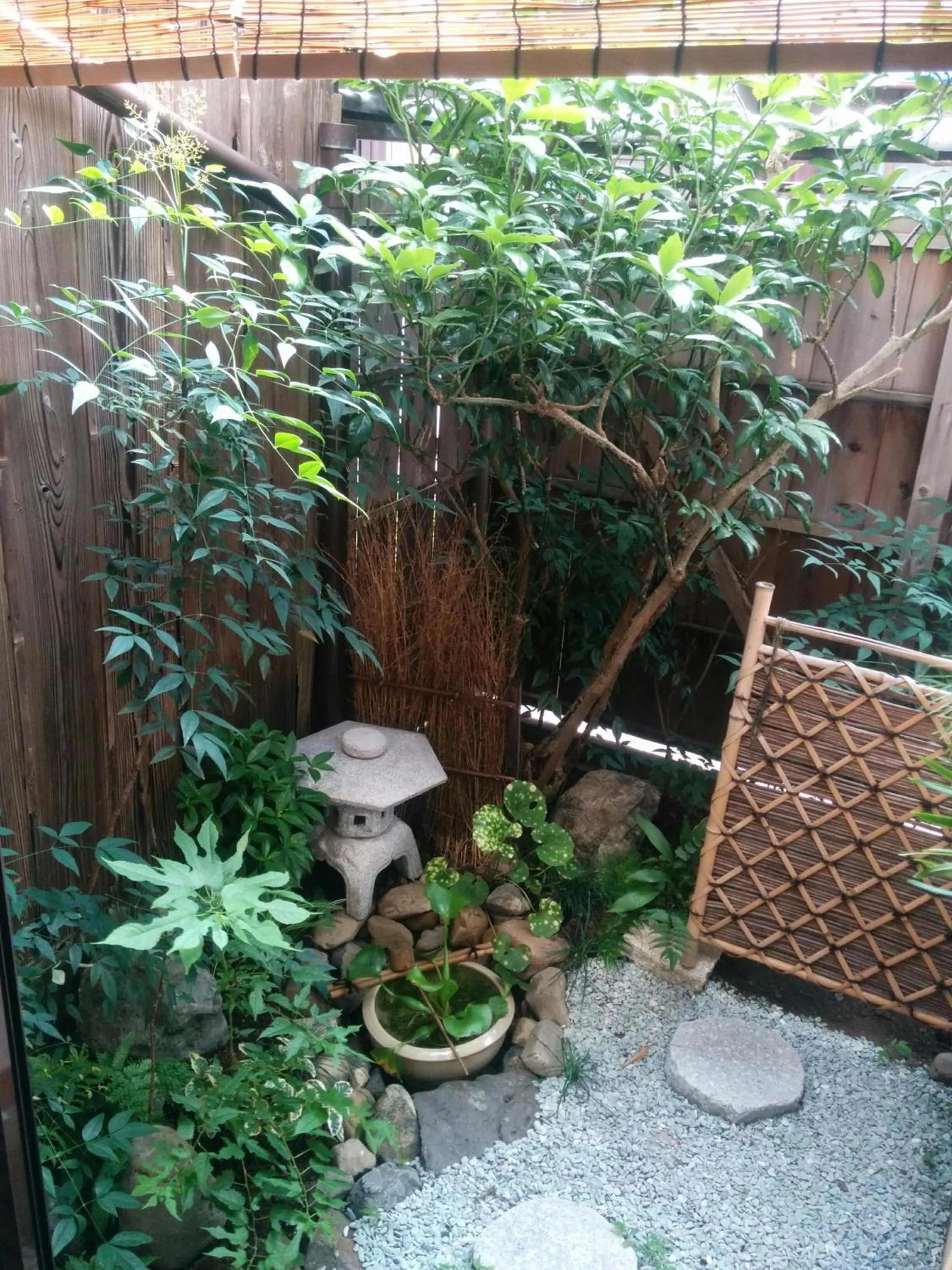 Garden in Murasakino Guesthouse
