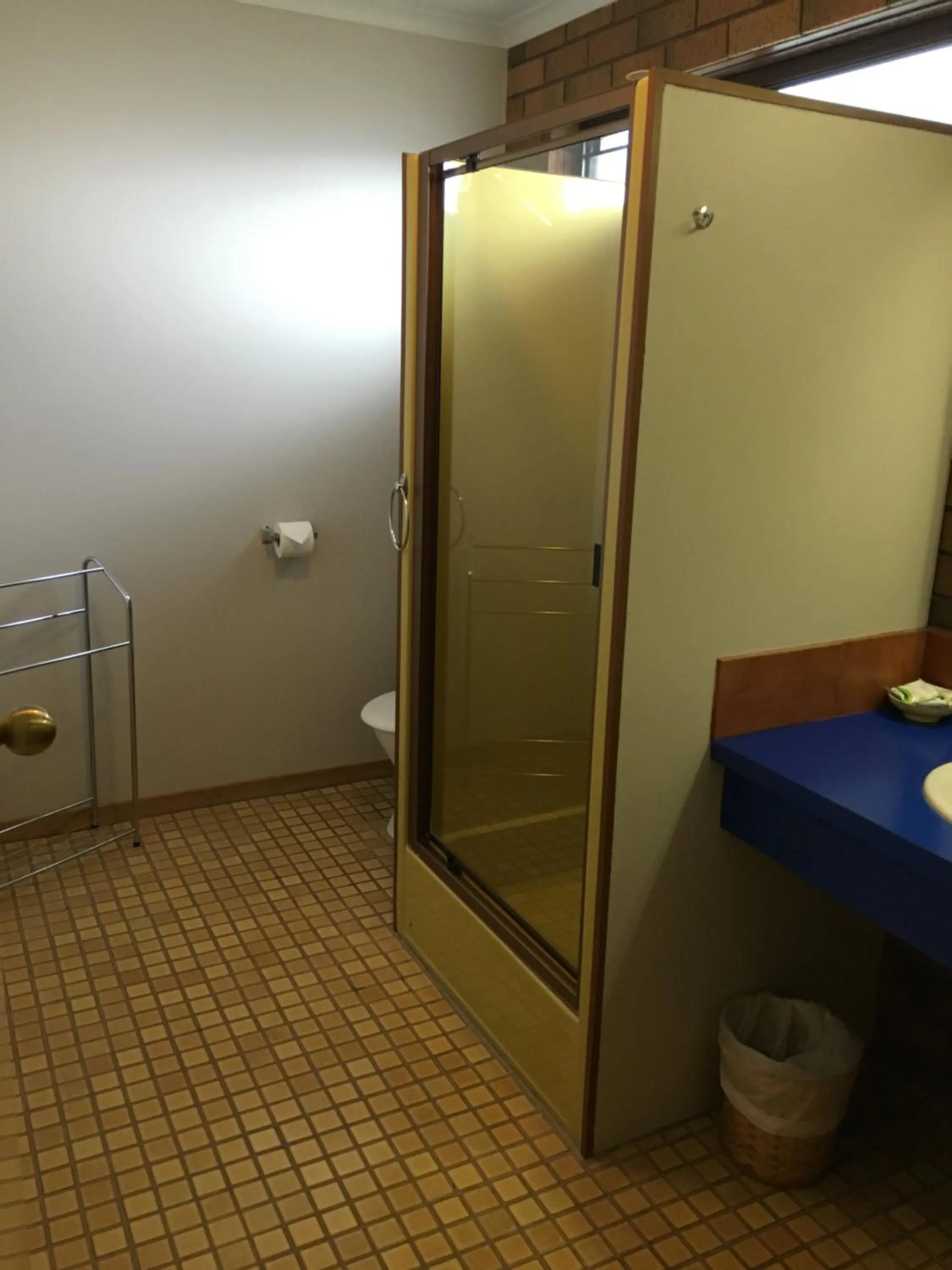 Shower in Avoca Motel