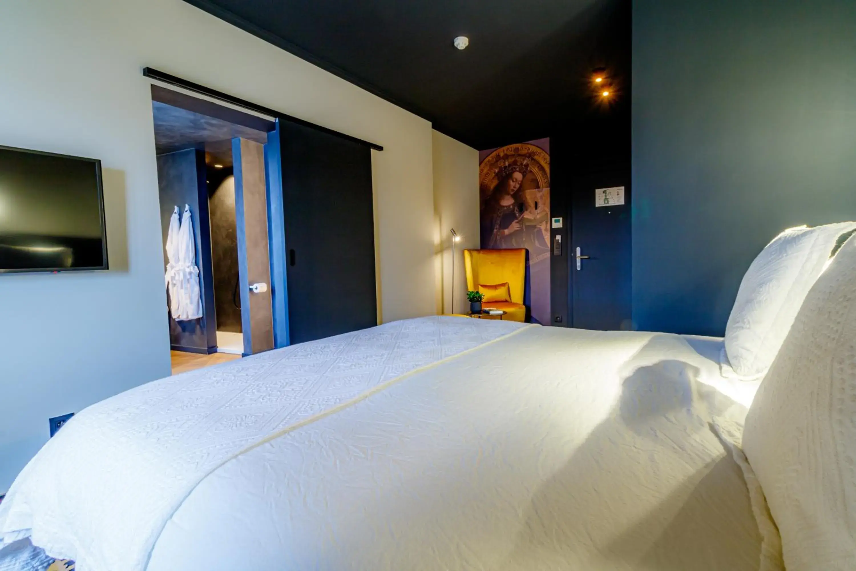 TV and multimedia, Bed in Hotel Montanus TV and multimedia, Bed in Hotel Montanus