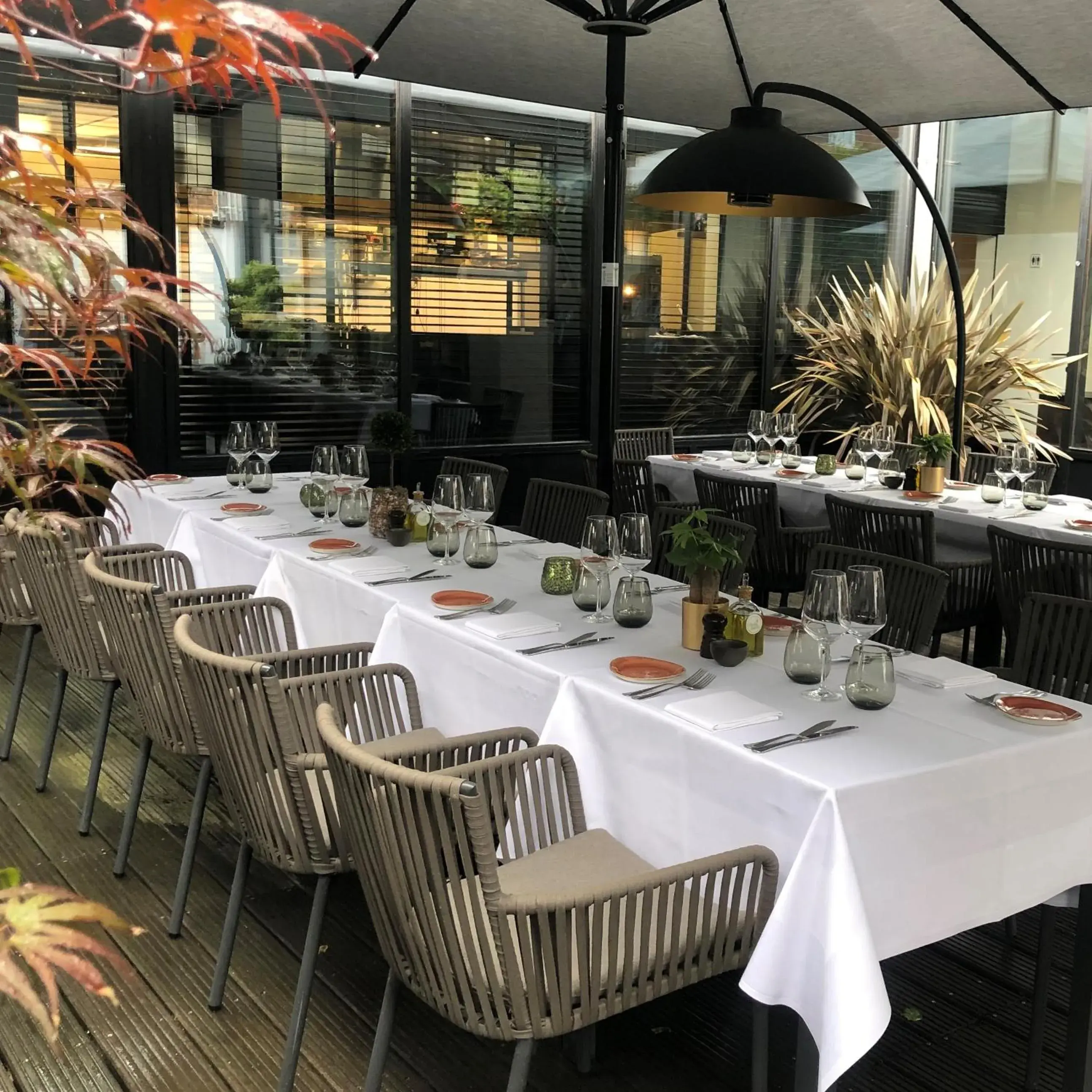 Restaurant/places to eat in Hotel Montanus Restaurant/places to eat in Hotel Montanus