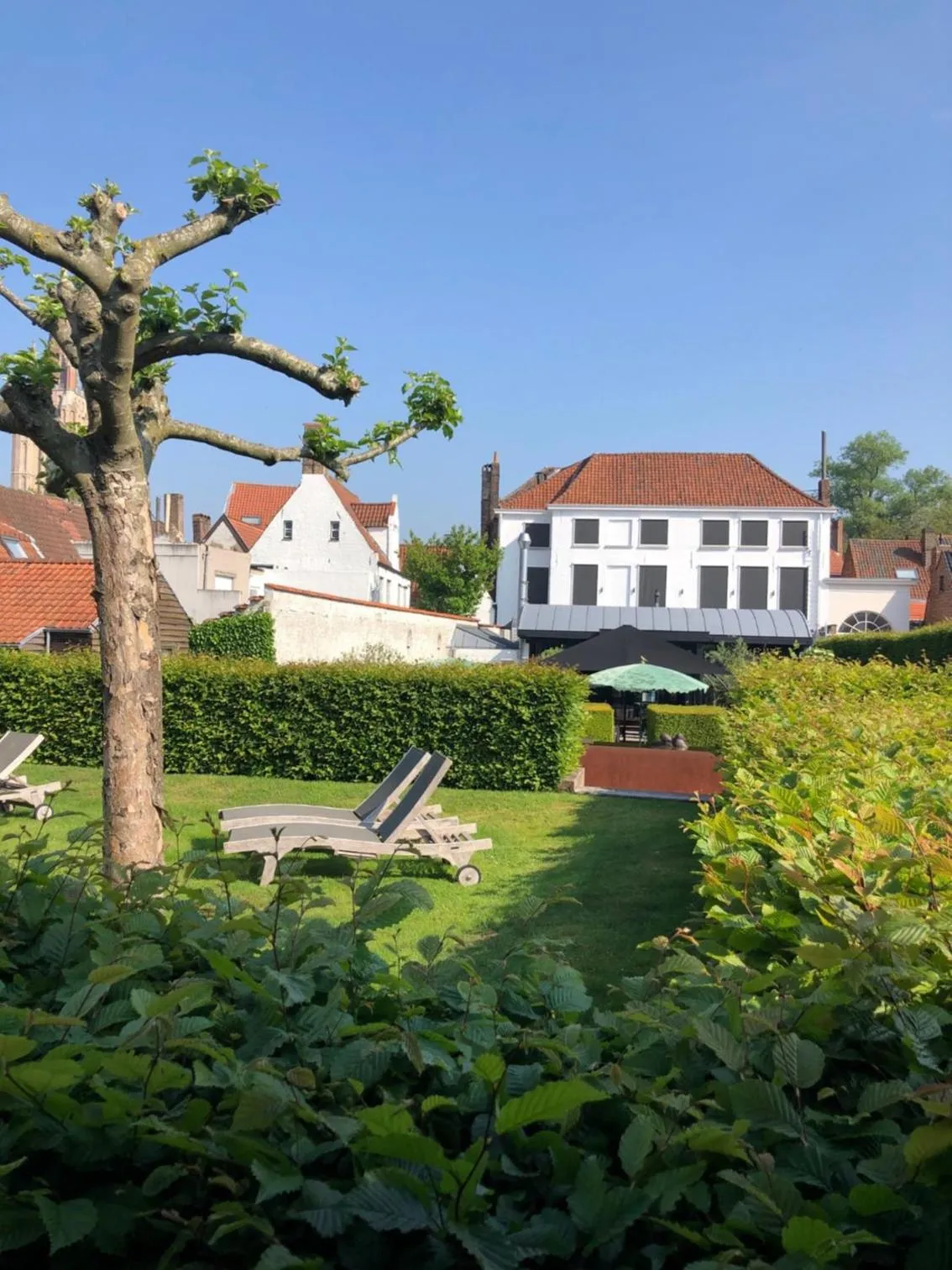 Property building in Hotel Montanus