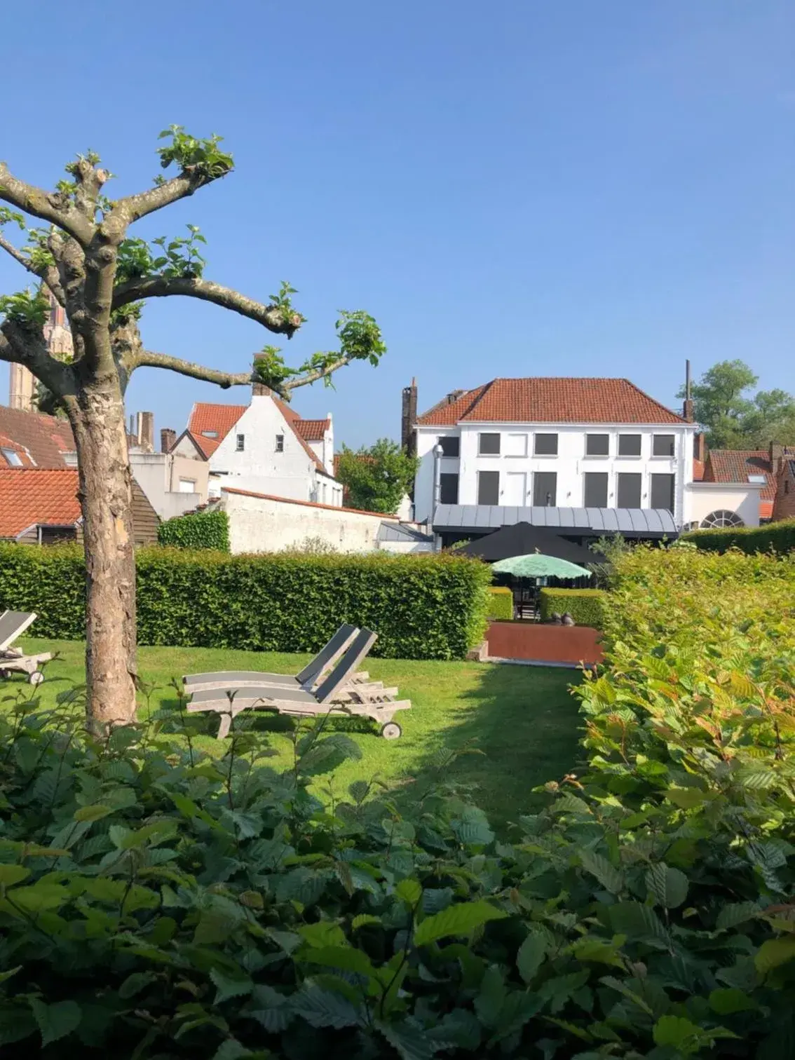 Property building in Hotel Montanus Property building in Hotel Montanus