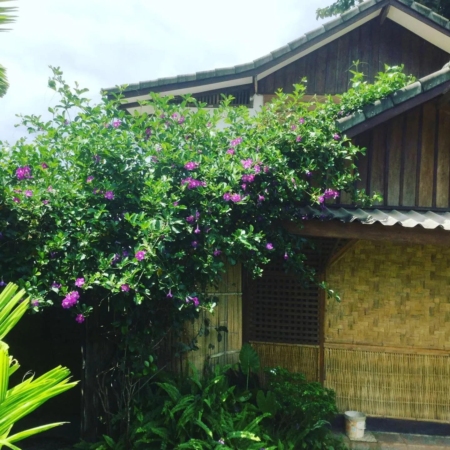 Property building in Phoxay Ngam Resort