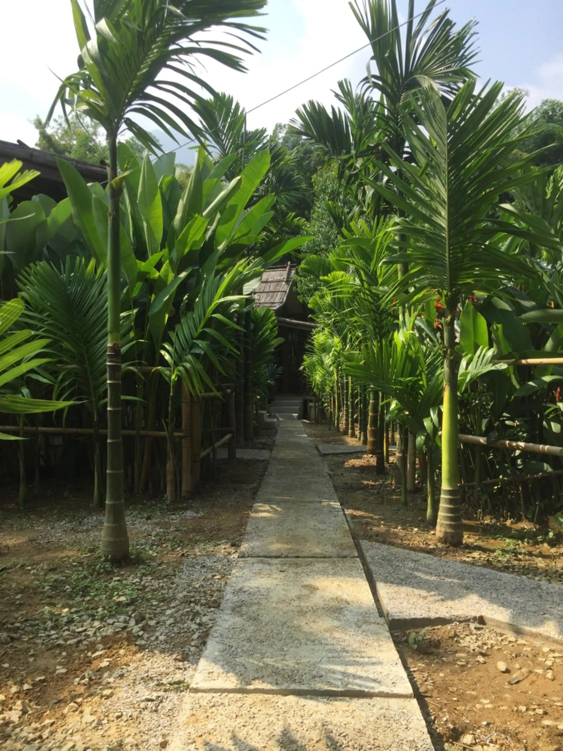 Phoxay Ngam Resort